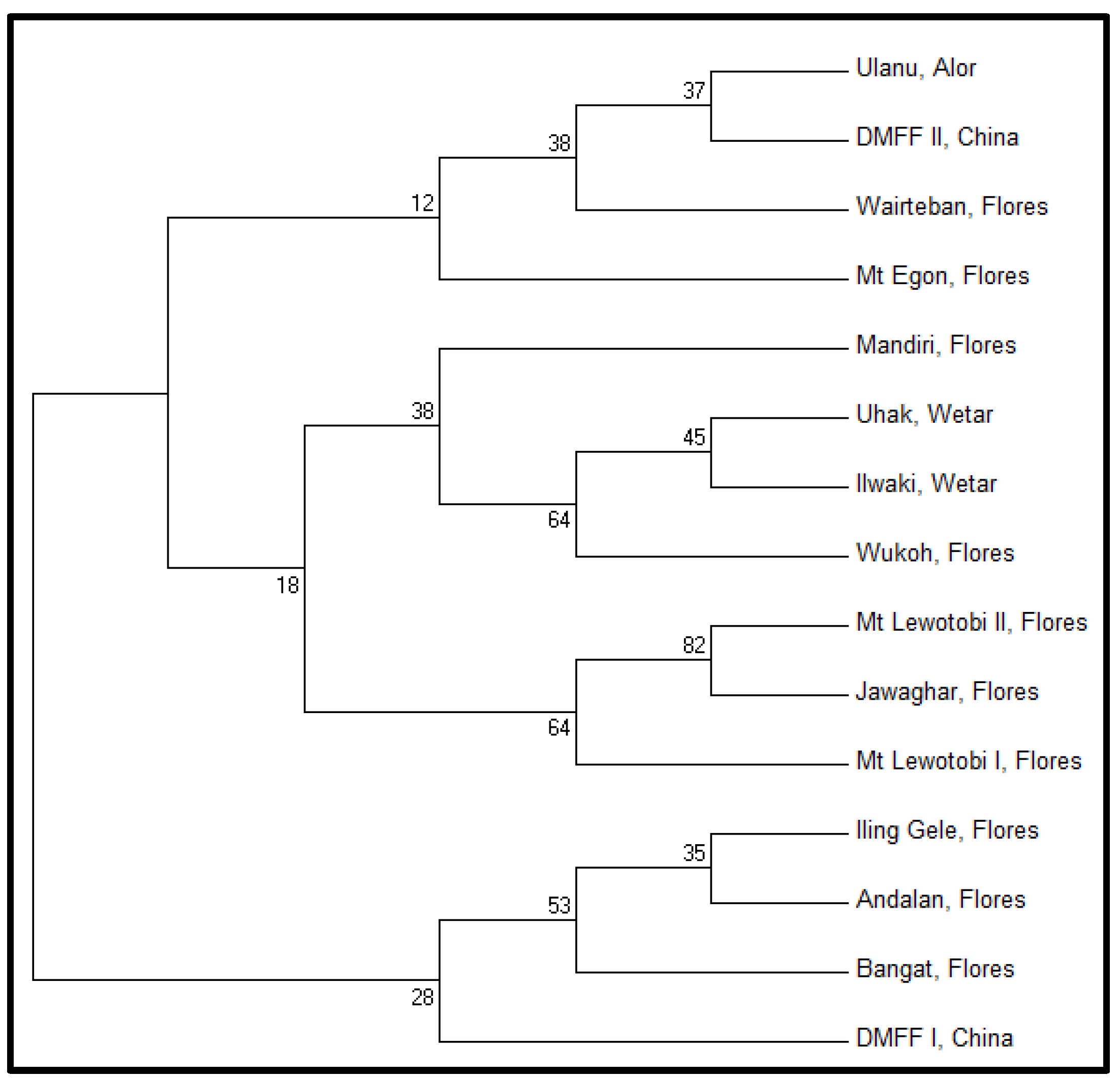 Forests Free Full Text Genetic Diversity And Structure Through Three Cycles Of A Eucalyptus Urophylla S T Blake Breeding Program Html