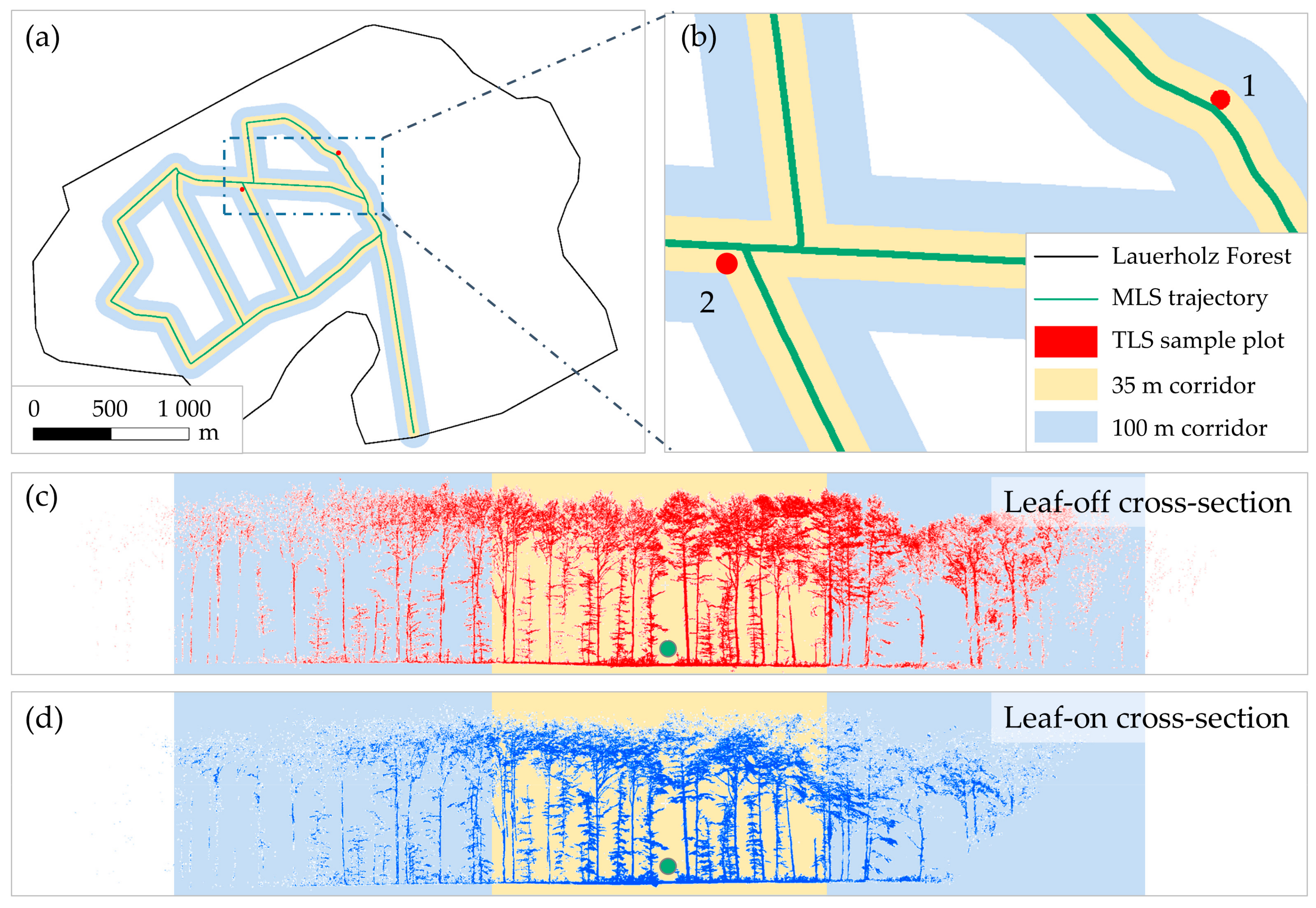 Forests 09 00395 g002