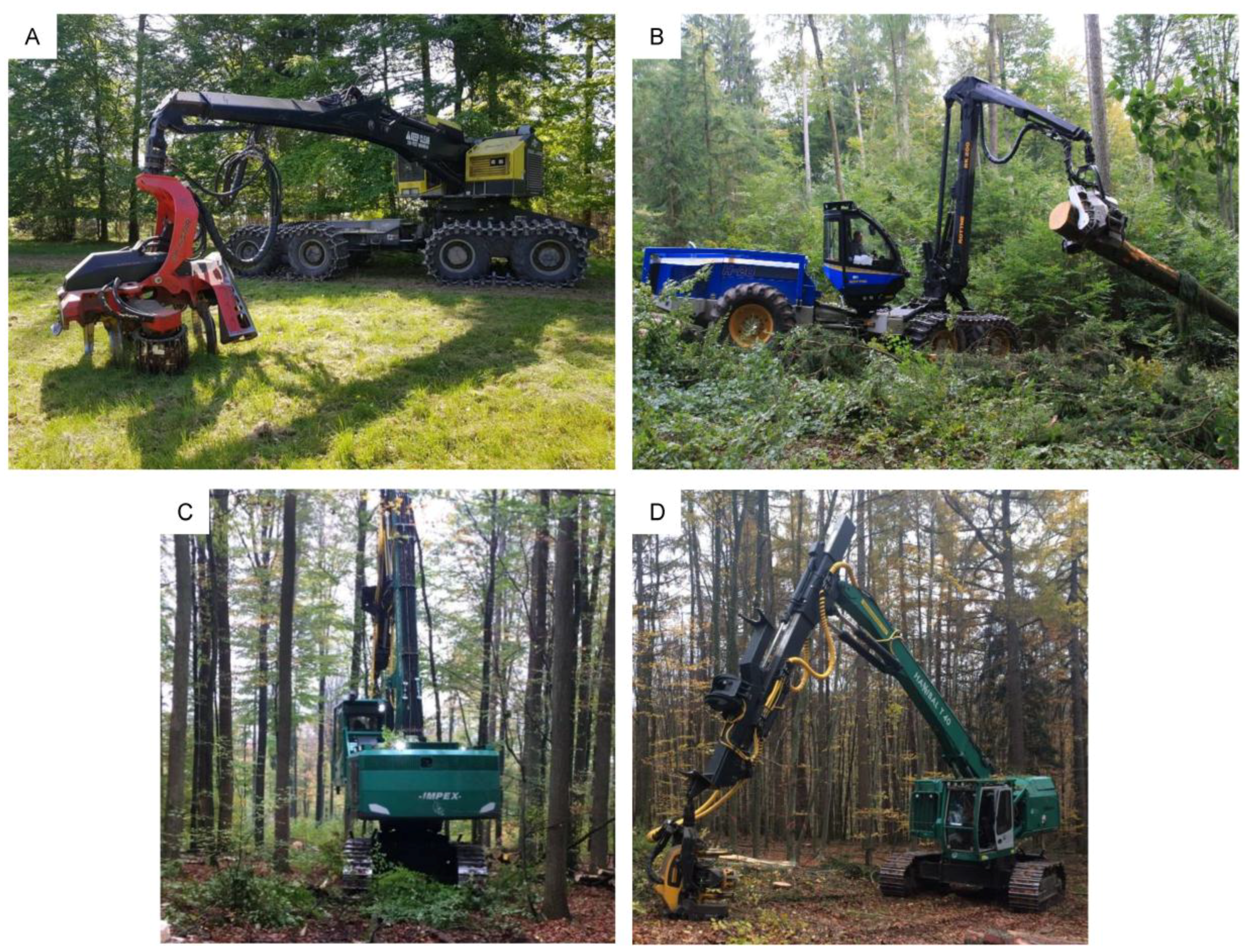 Forests 09 00424 g001 550