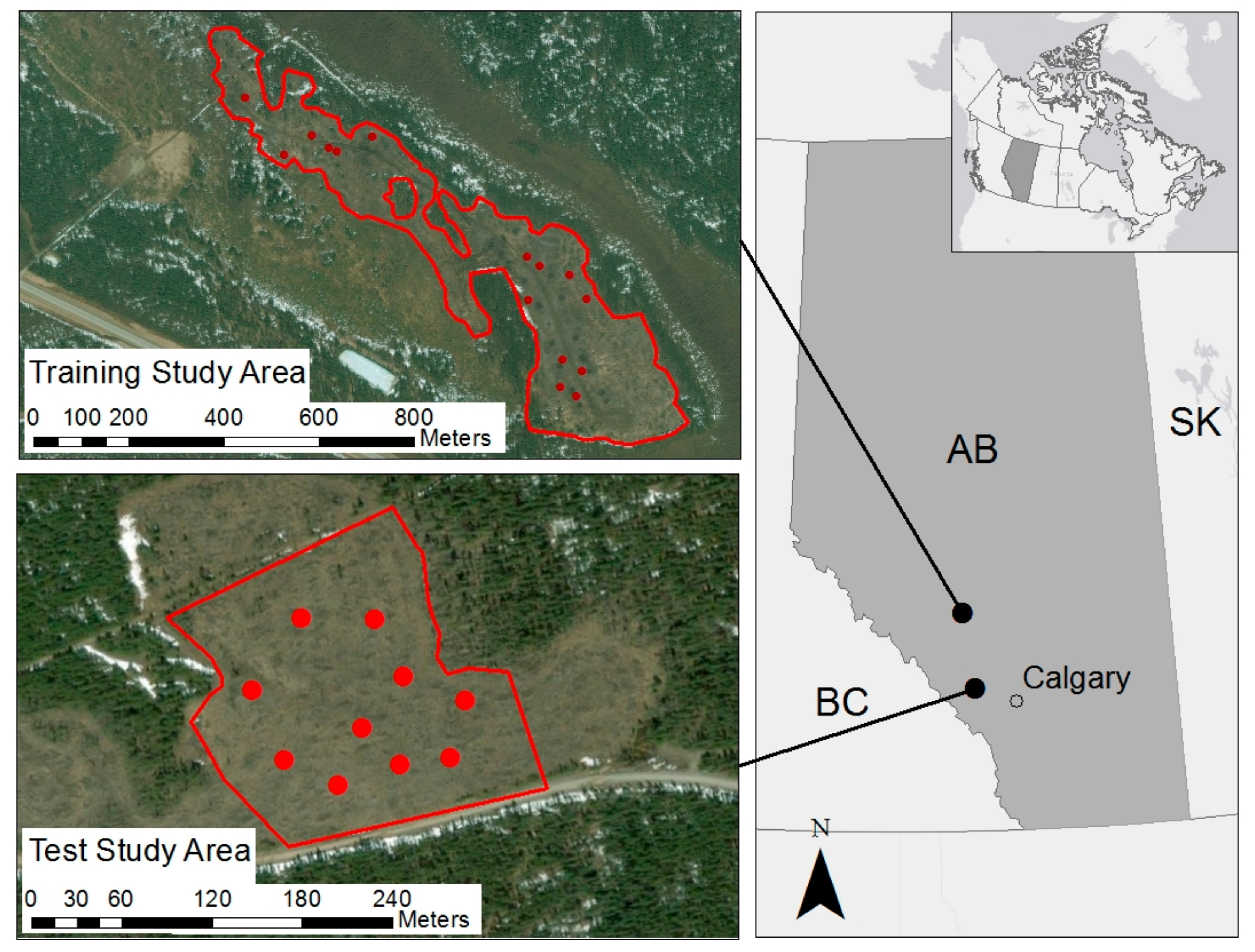 Forests 09 00432 g001