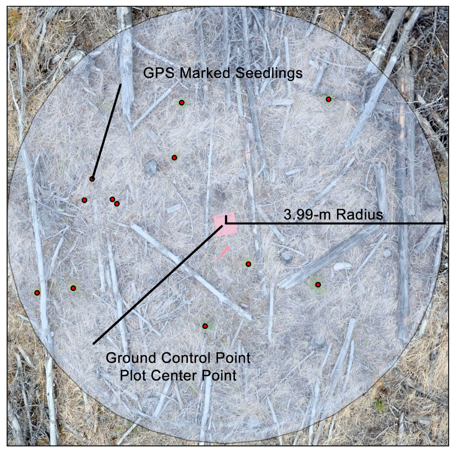 Forests 09 00432 g002