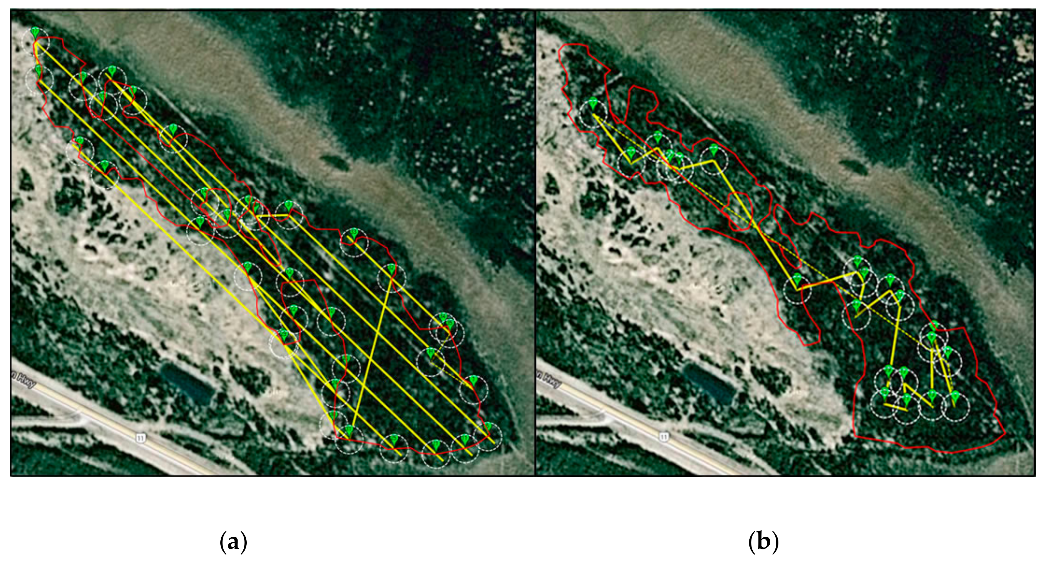 Forests 09 00432 g008
