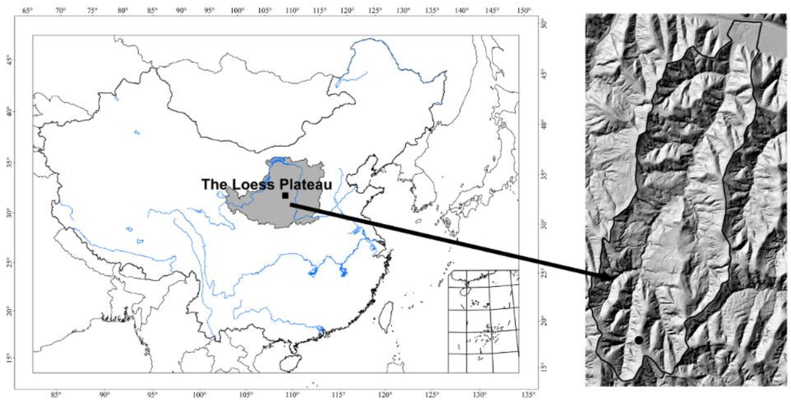 Forests 09 00436 g001