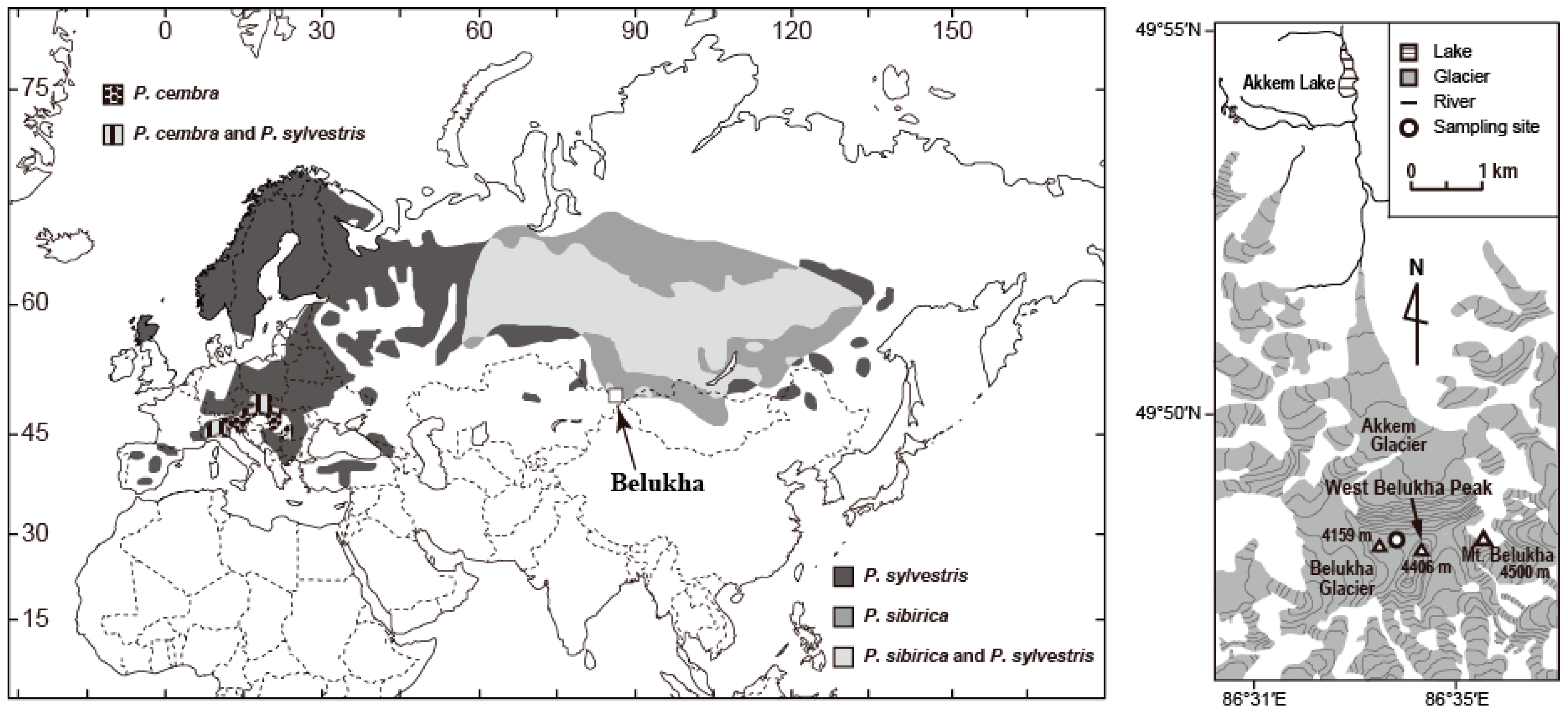 Forests 09 00444 g001 Forests 09 00444 g001