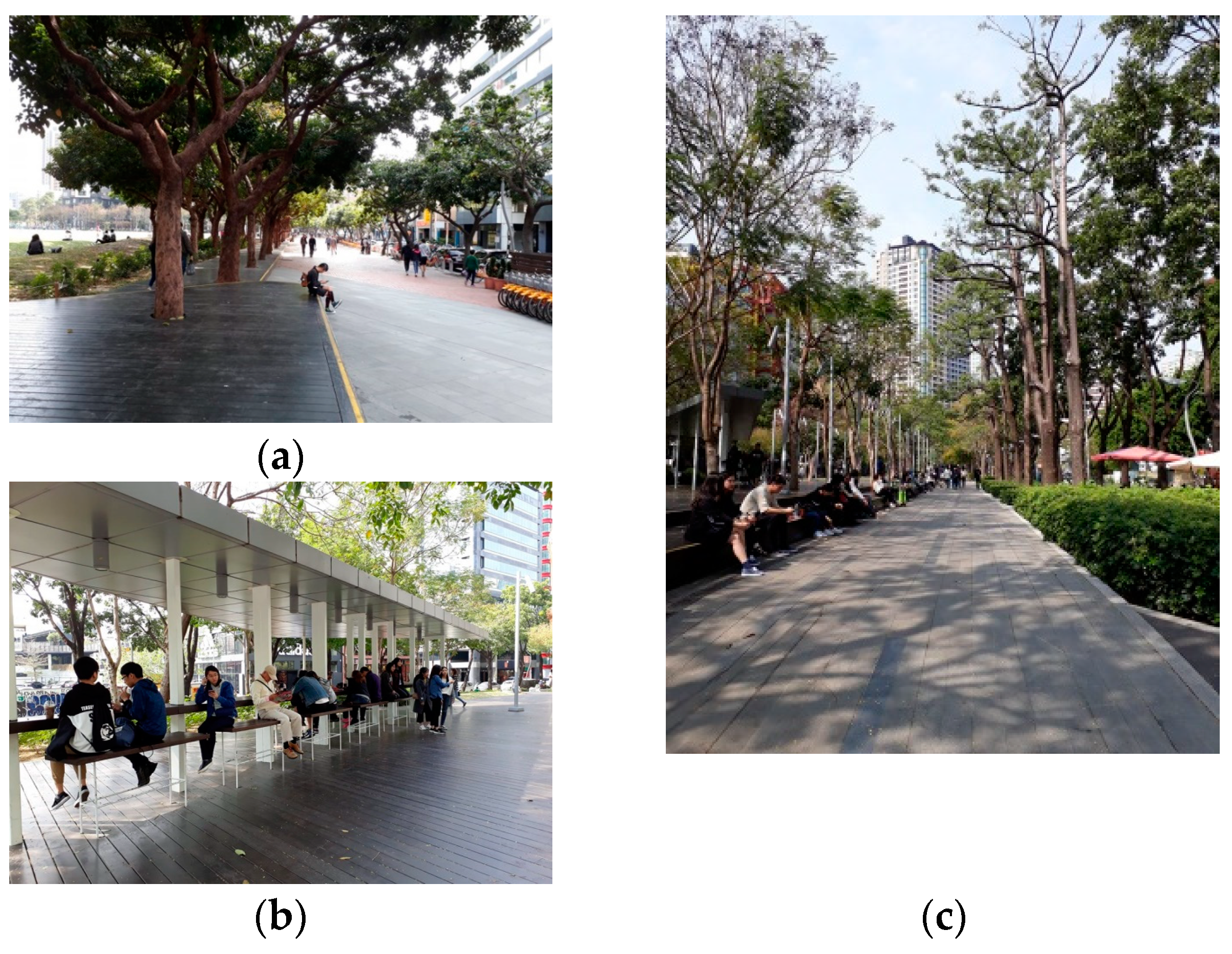 Forests 09 00462 g003 Forests 09 00462 g003