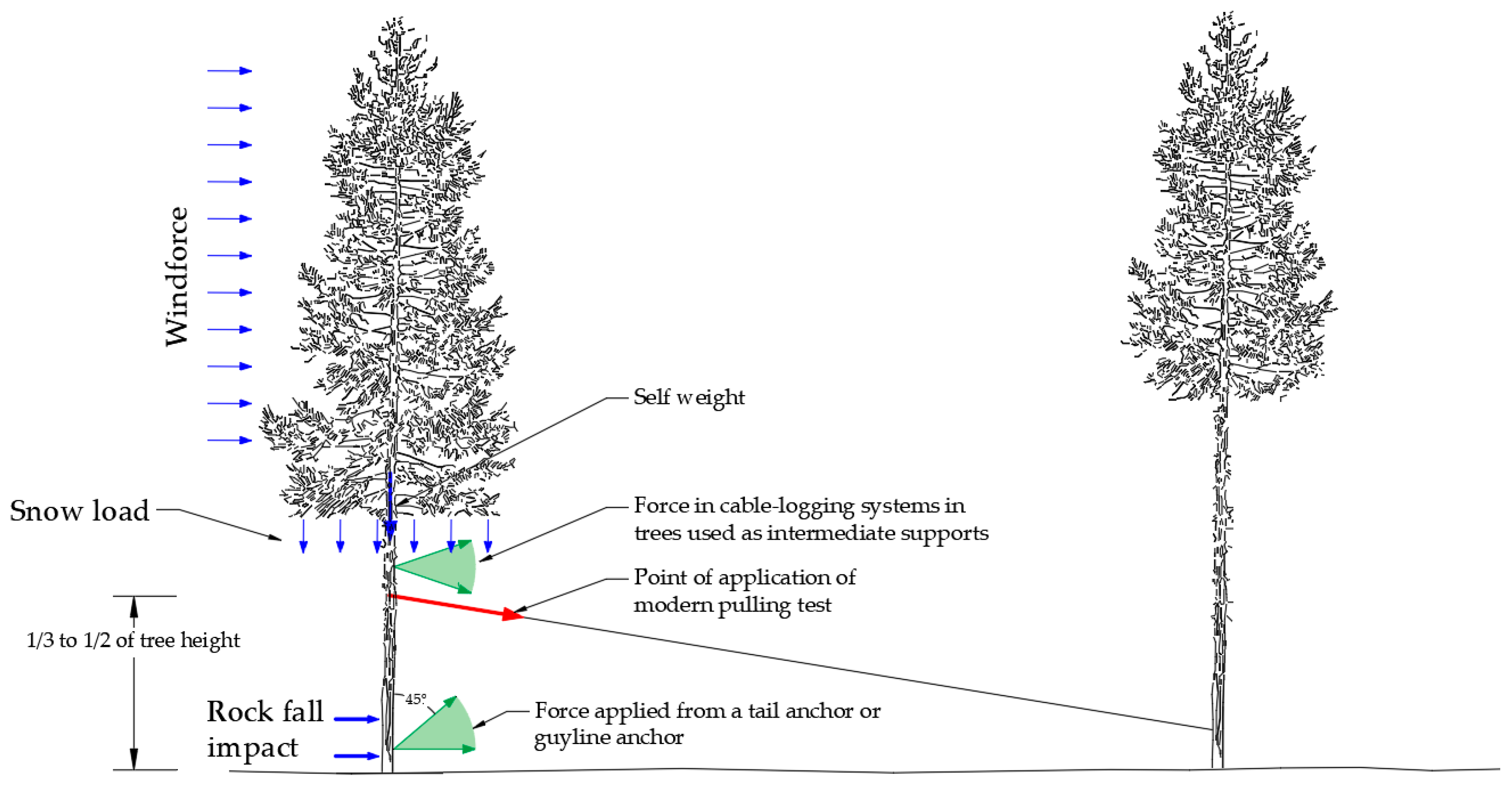 Forests 09 00467 g003