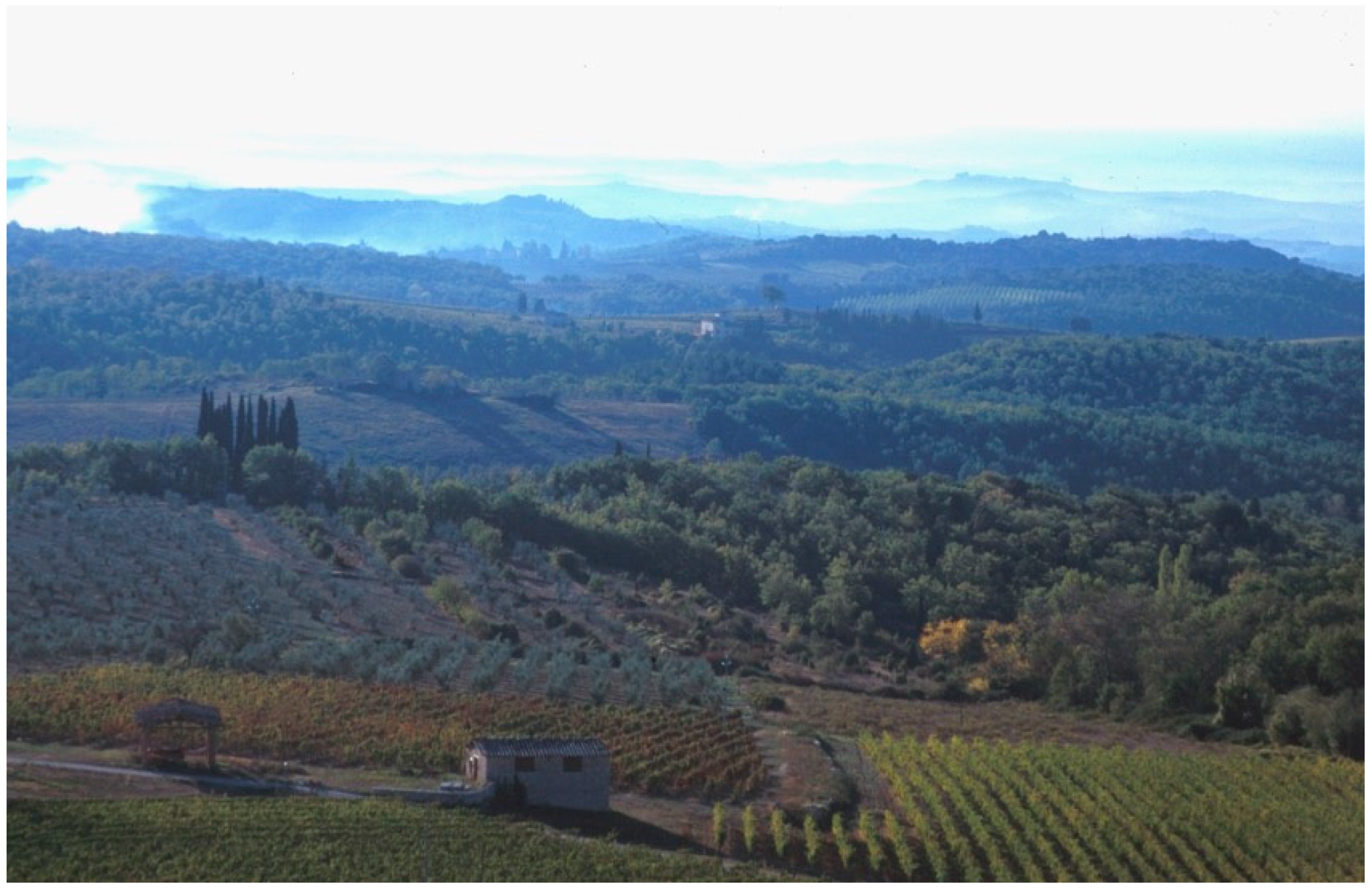 Forests 09 00473 g004 550