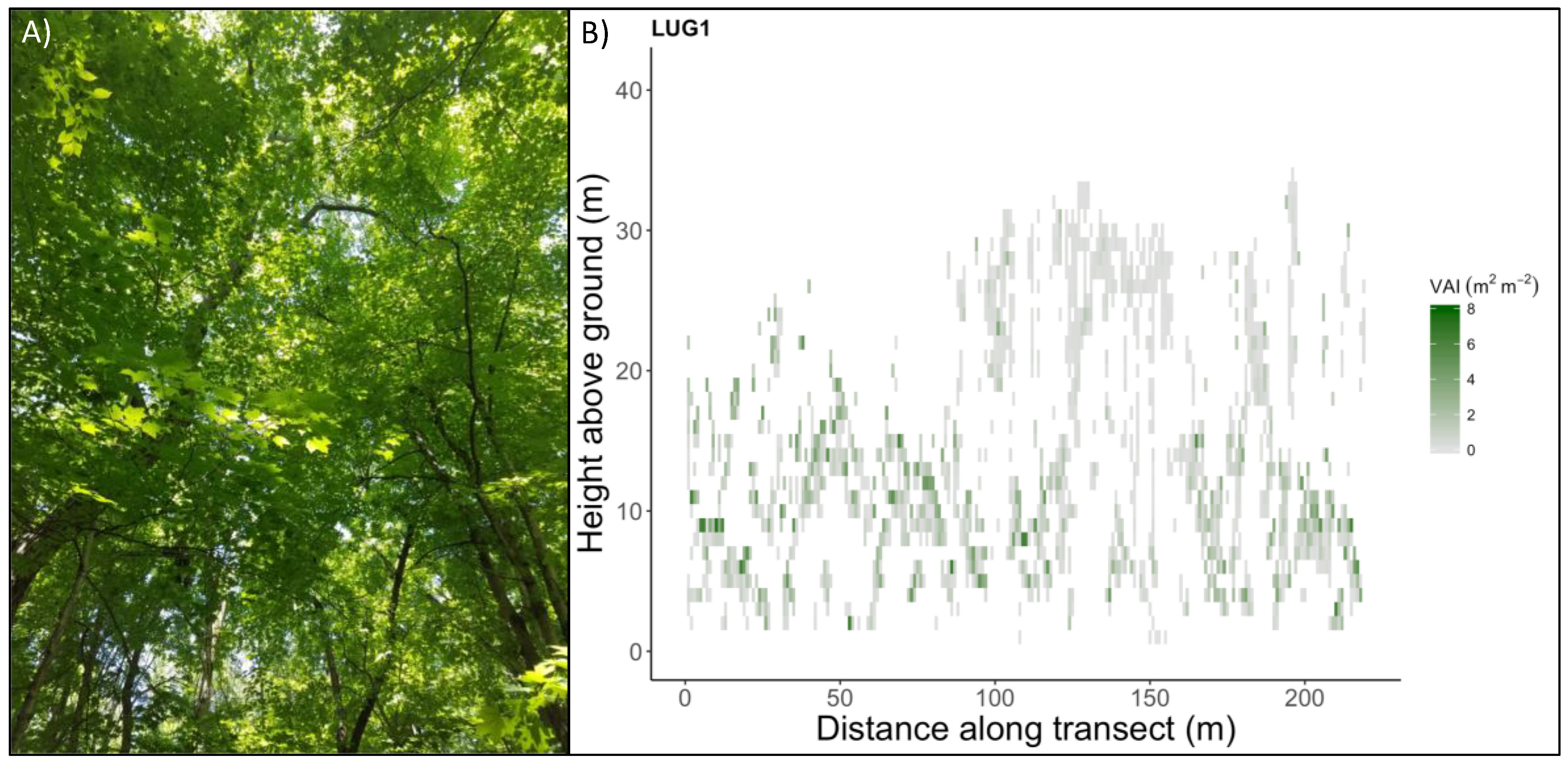 Forests 09 00474 g001