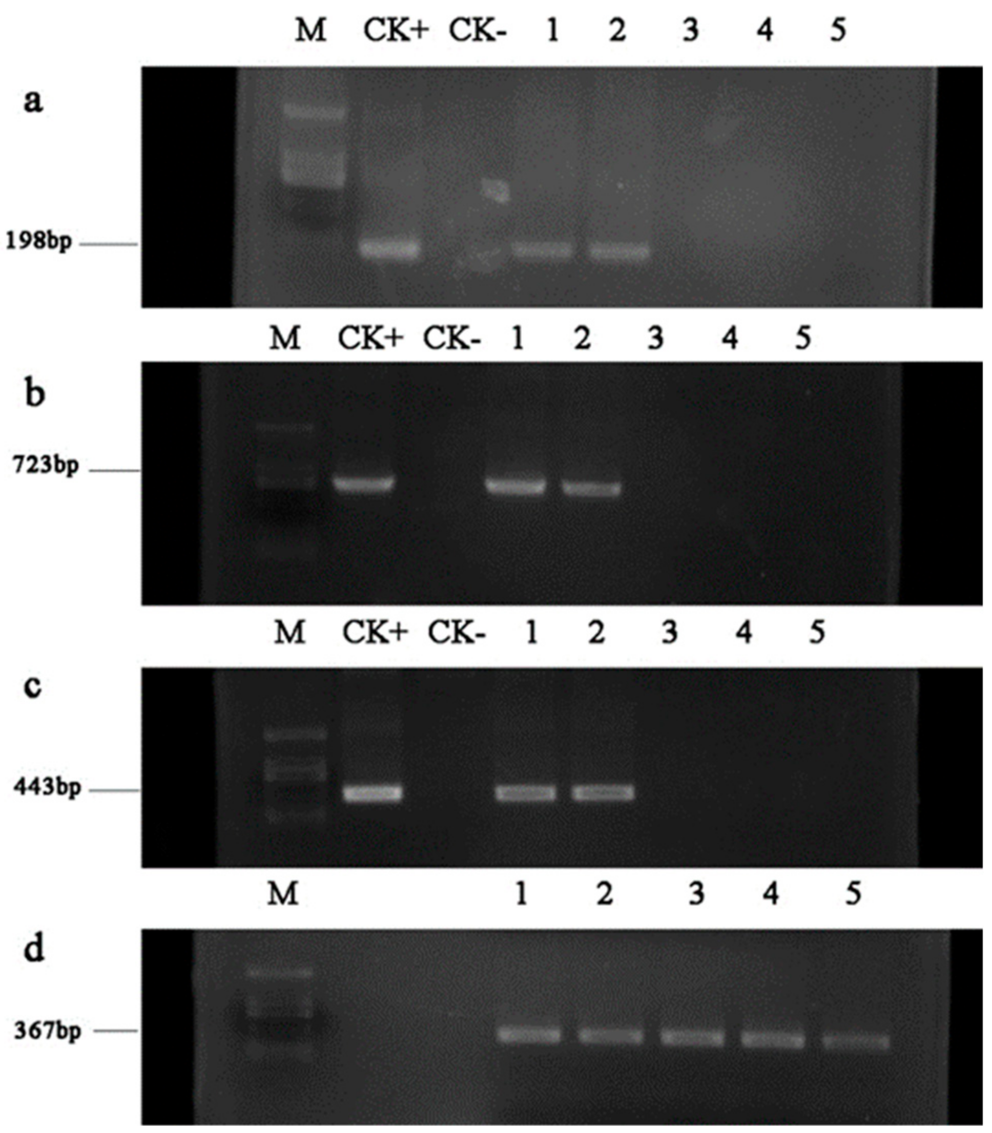 Forests 09 00482 g004
