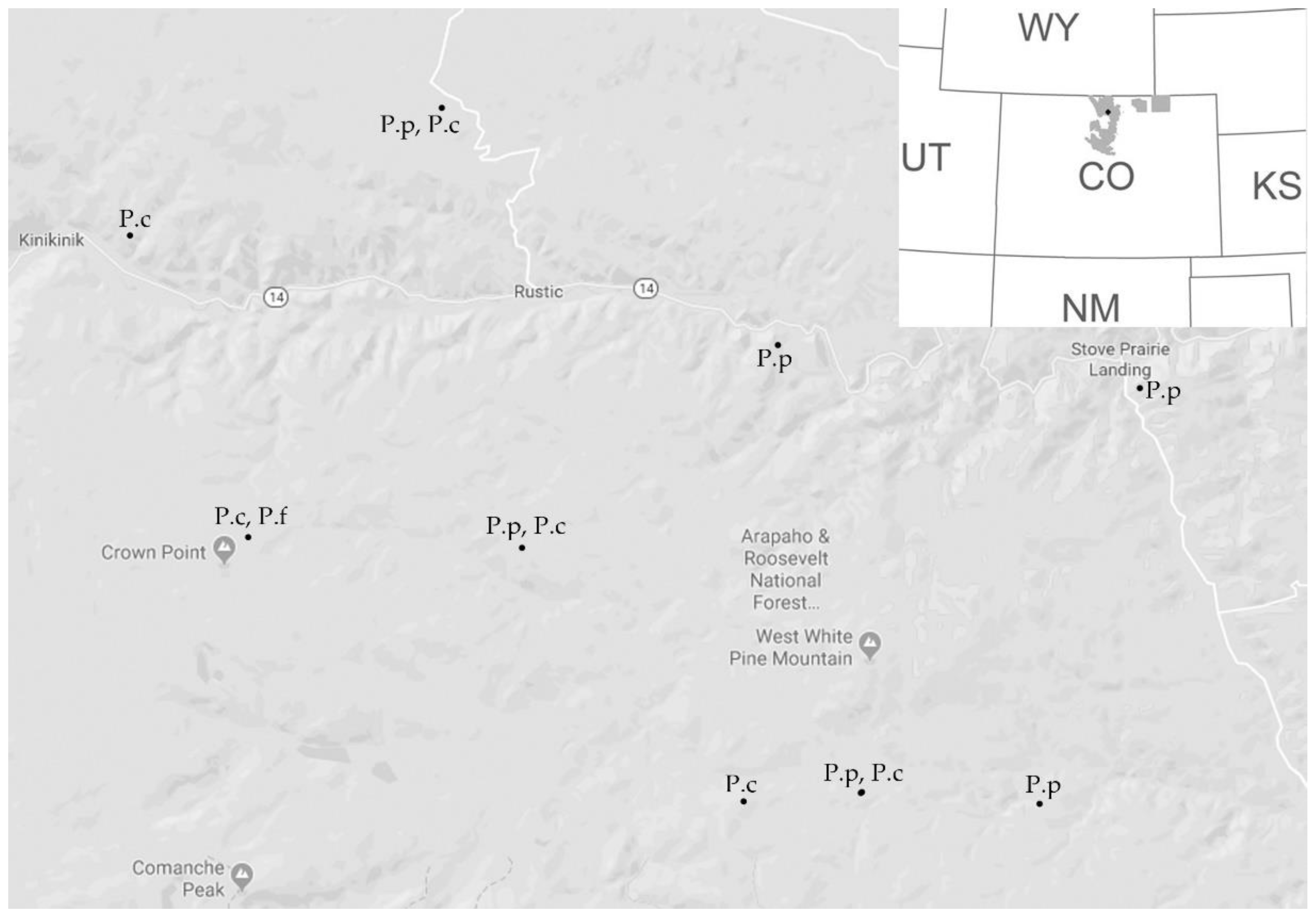 Forests 09 00484 g001