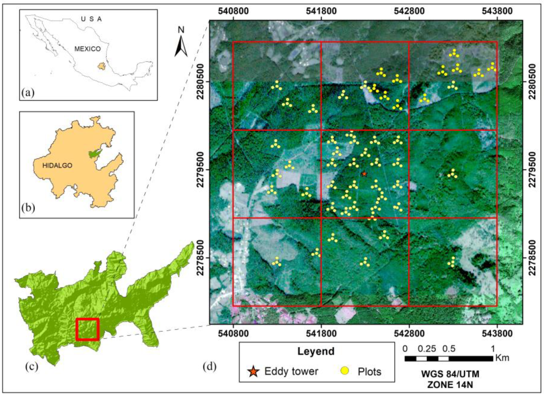 Forests 09 00490 g001