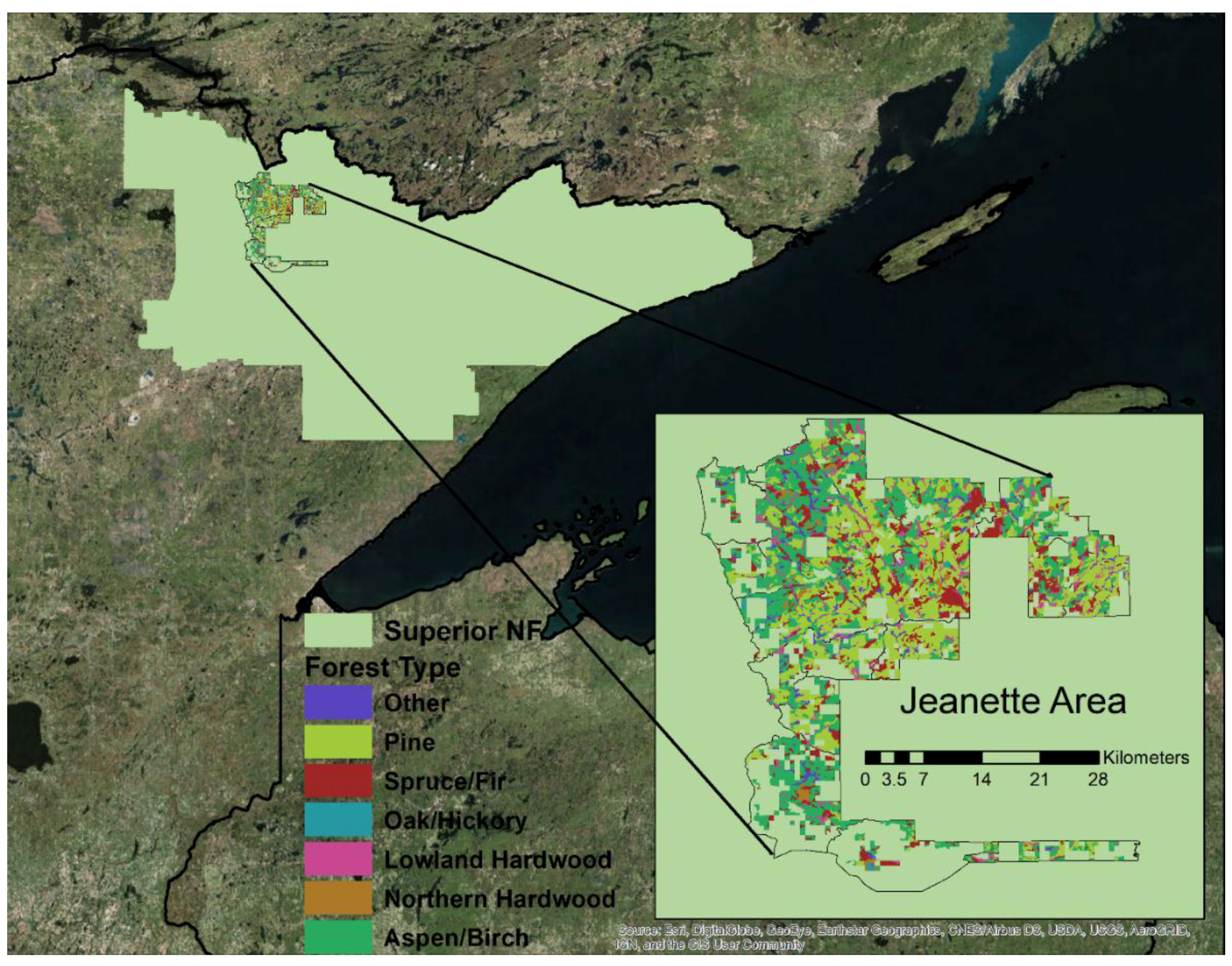 Forests 09 00491 g001