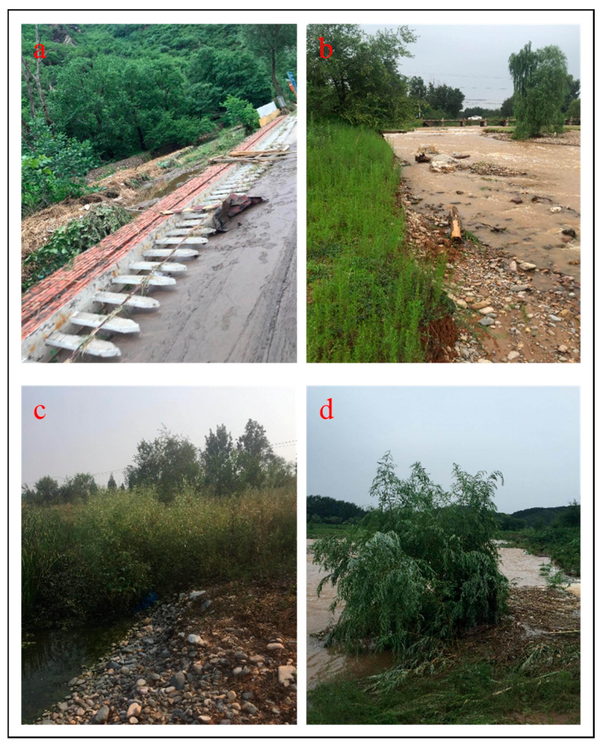 Forests 09 00493 g001 Forests 09 00493 g001