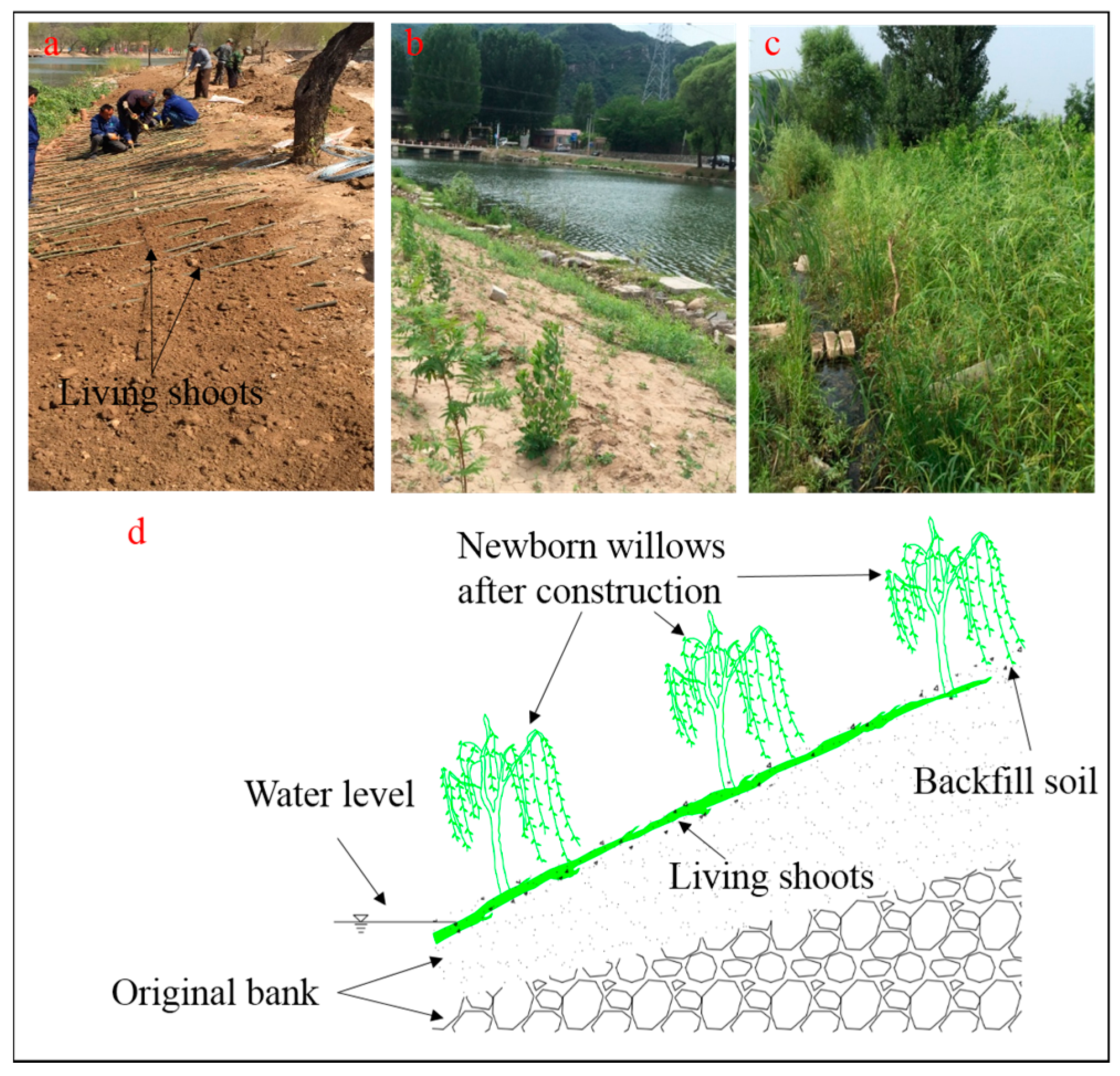 Forests 09 00493 g002 Forests 09 00493 g002