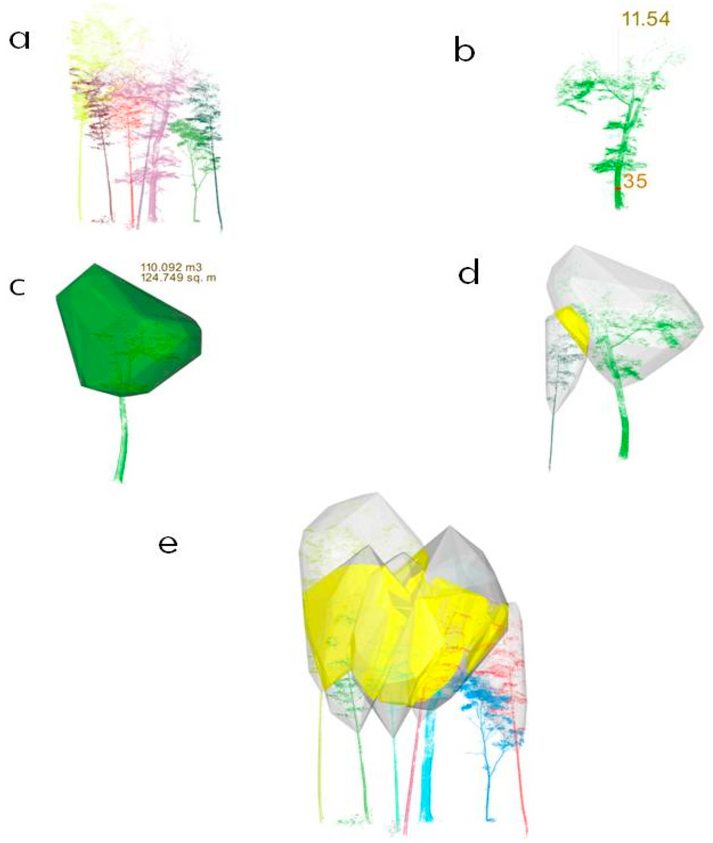 Forests 09 00520 g002