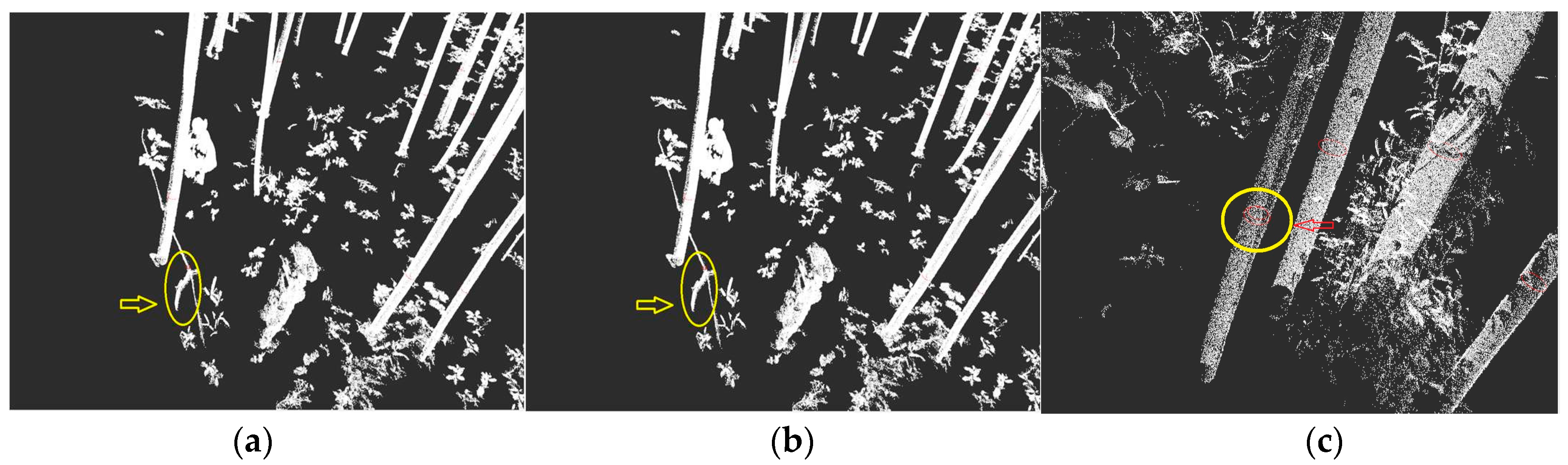 Forests 09 00520 g005
