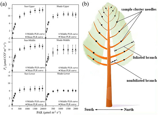 Spatial and Seasonal Variations of Standardized