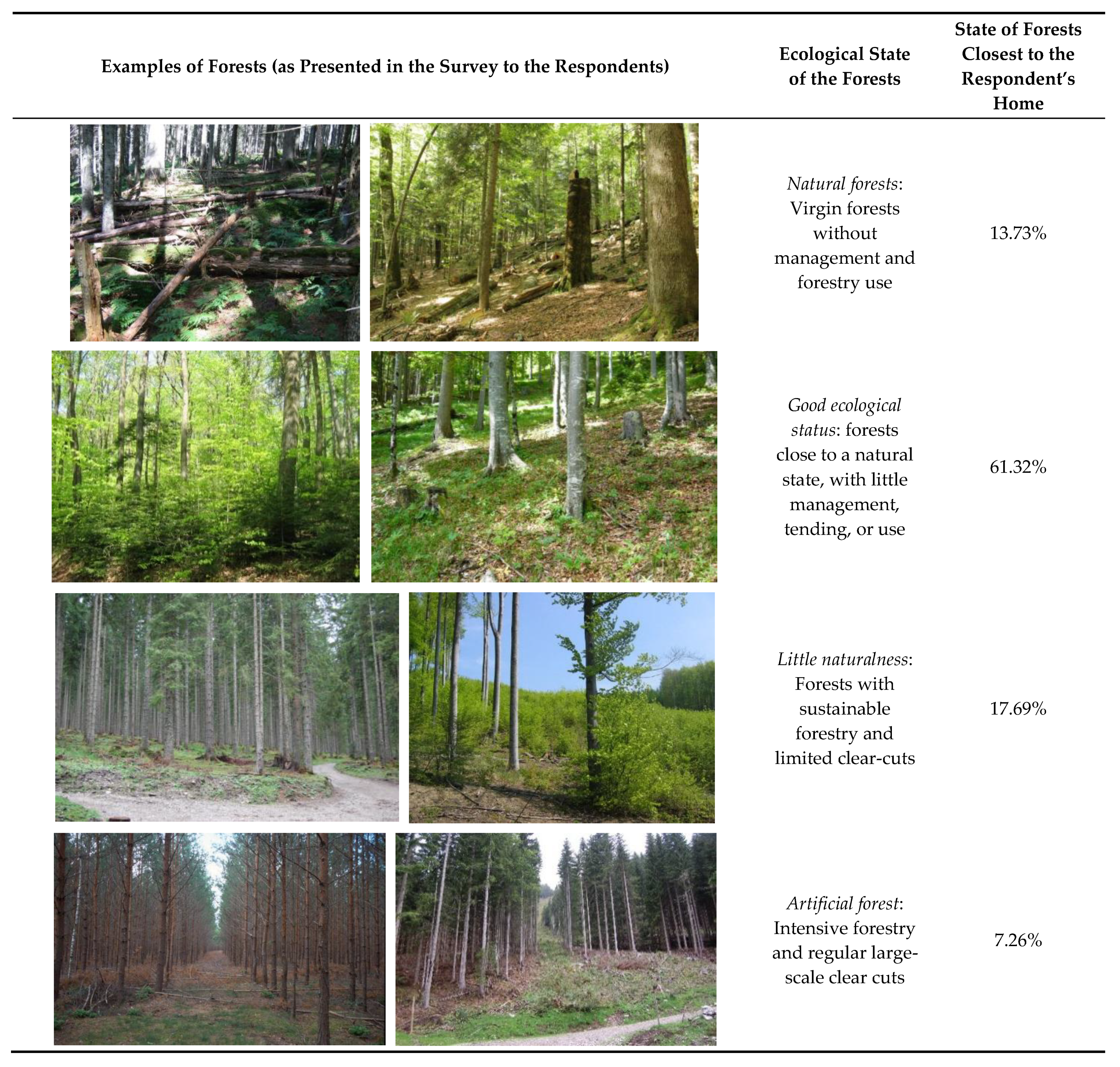 Forests | Free Full-Text | Willingness to Pay for Conservation Policies in State-Owned Forests: Study