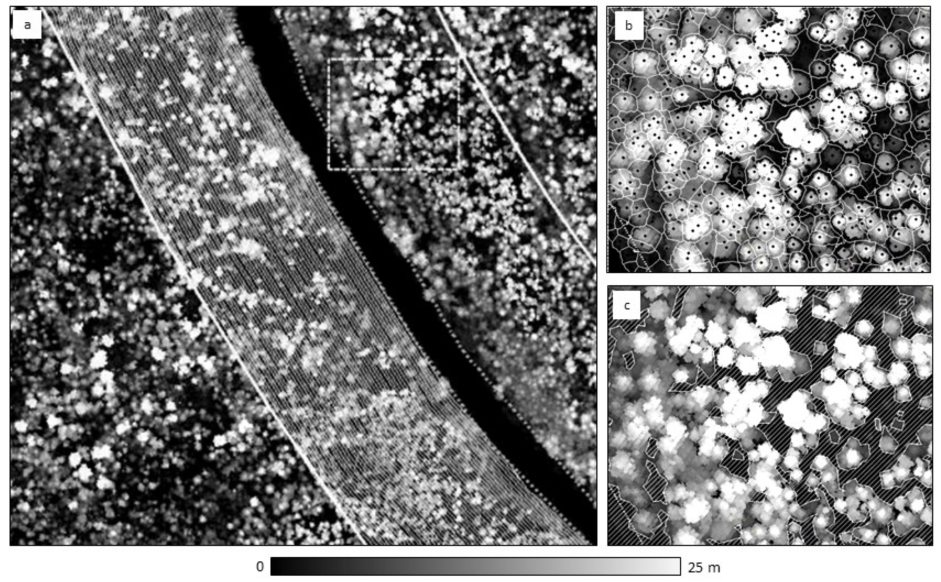 Forests 09 00540 g002