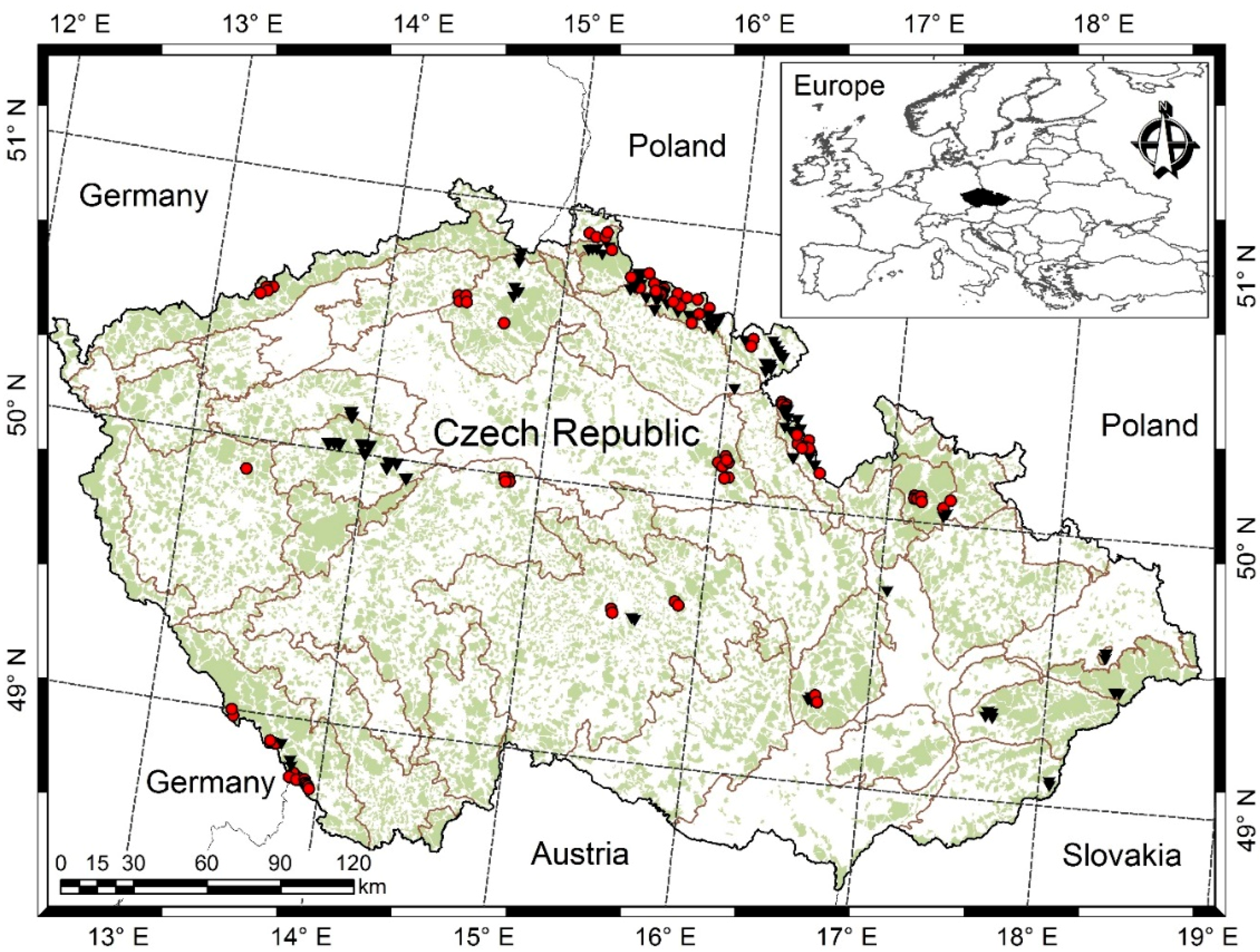 Forests 09 00555 g001