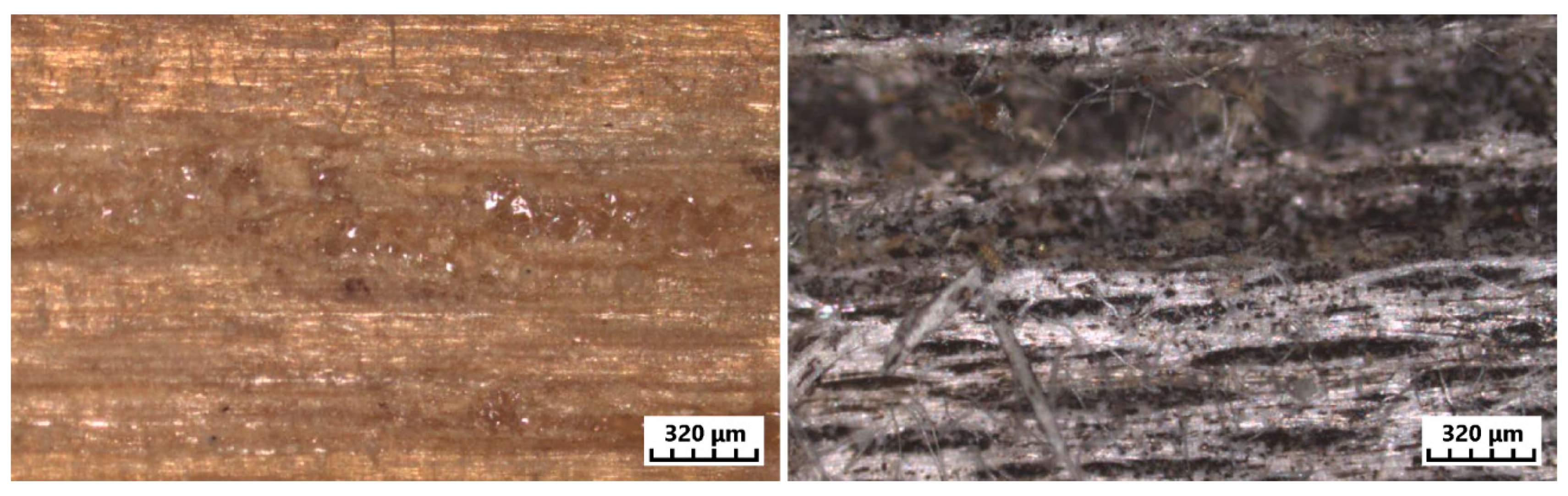 Forests 09 00557 g009