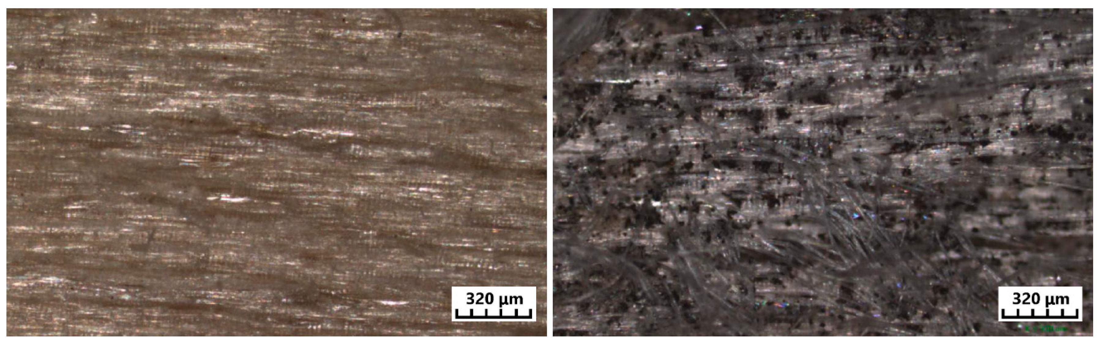 Forests 09 00557 g010