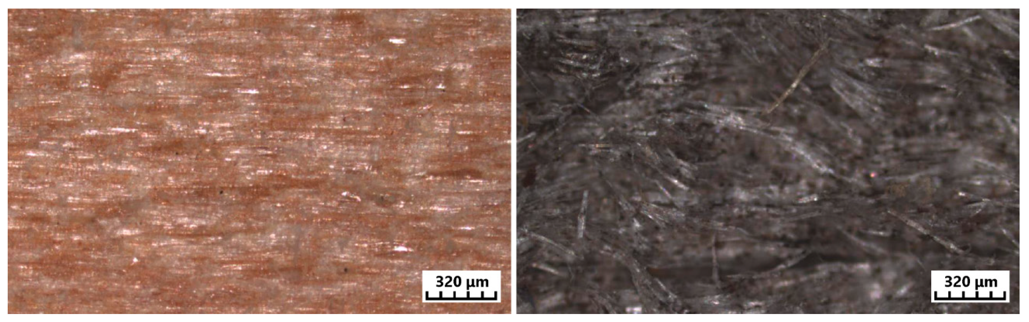 Forests 09 00557 g011