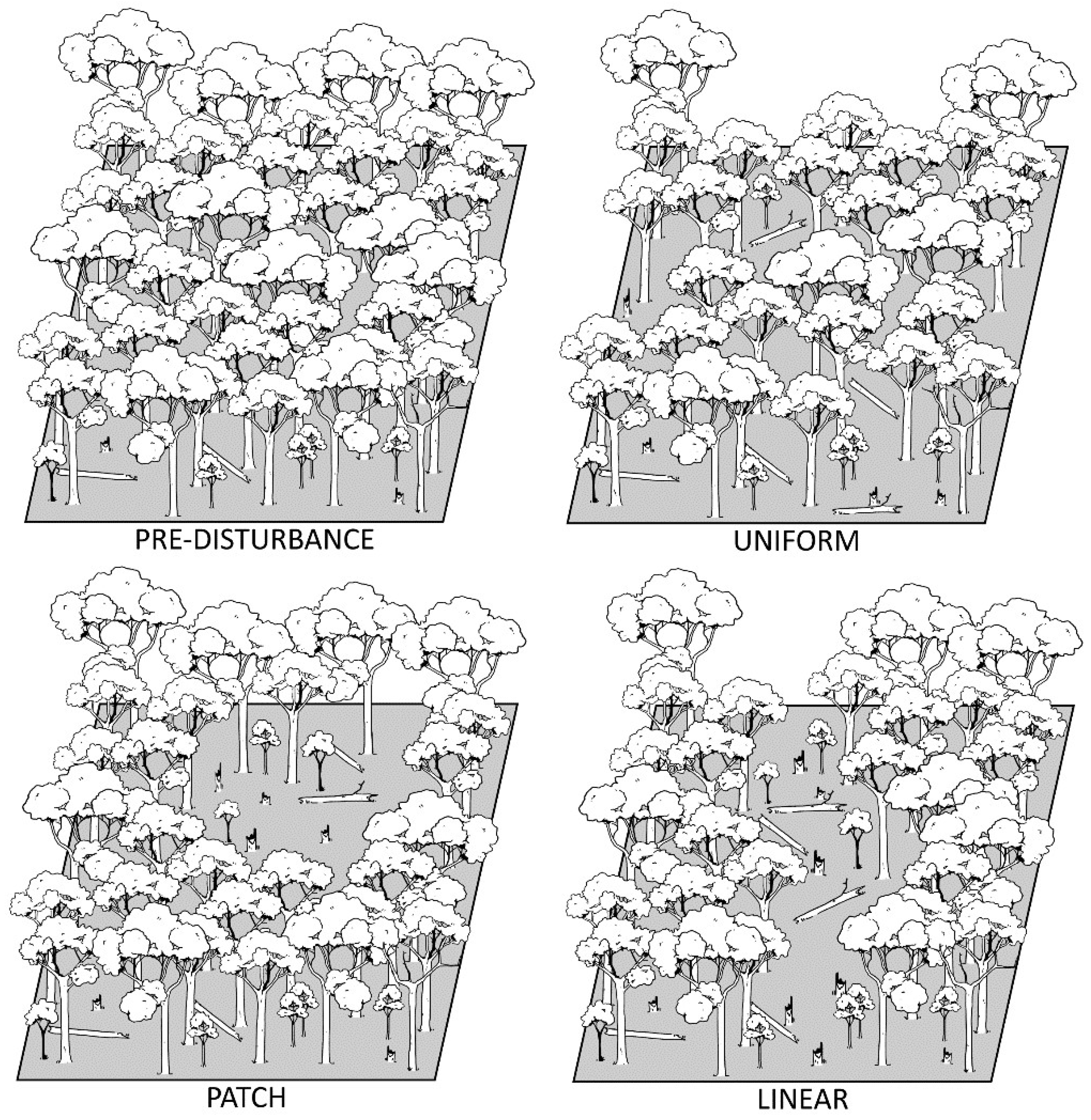 Forests 09 00579 g002