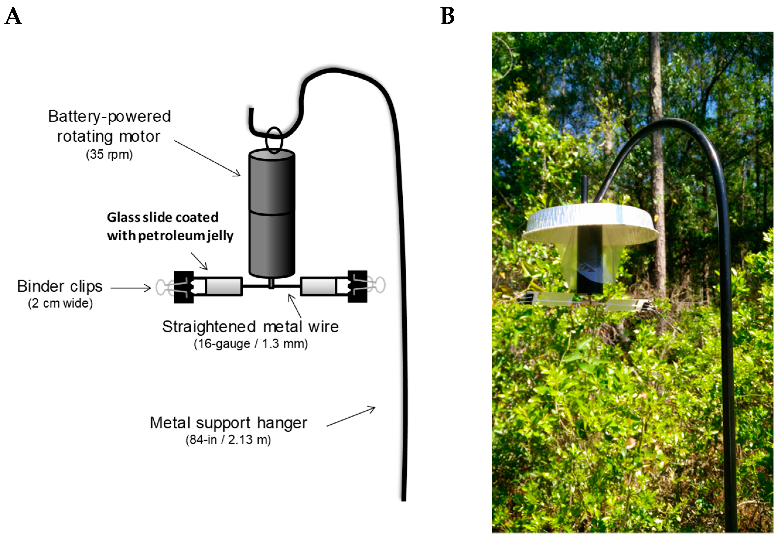Forests 09 00586 g001 Forests 09 00586 g001