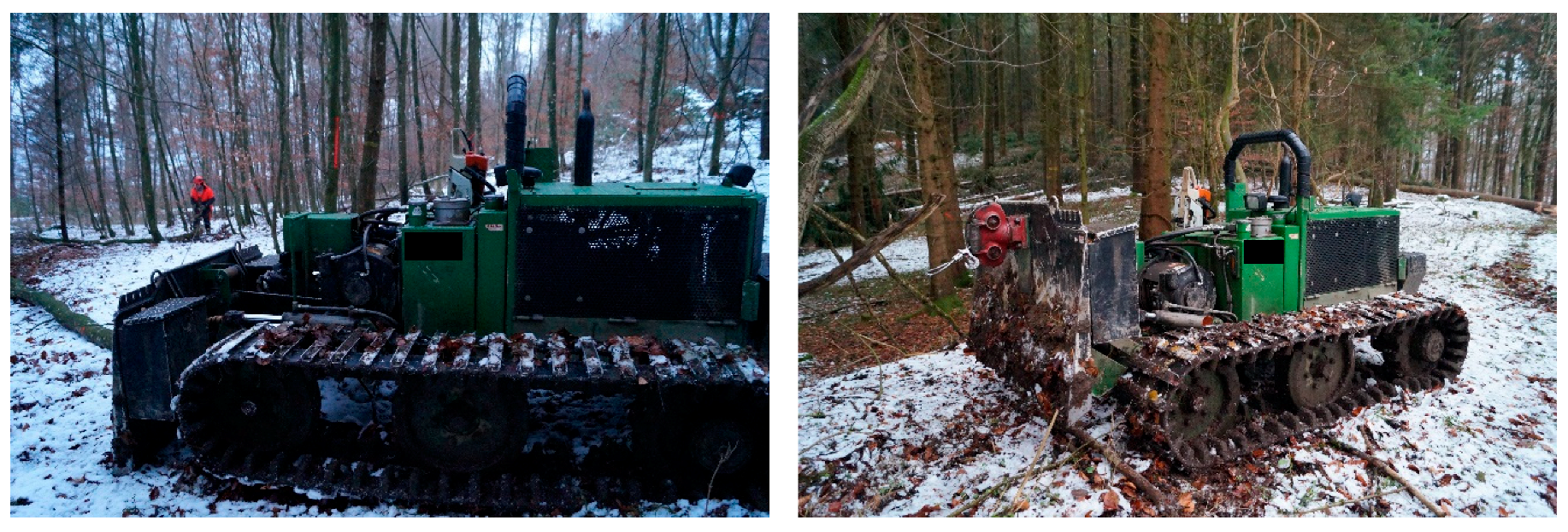 Forests 09 00591 g001