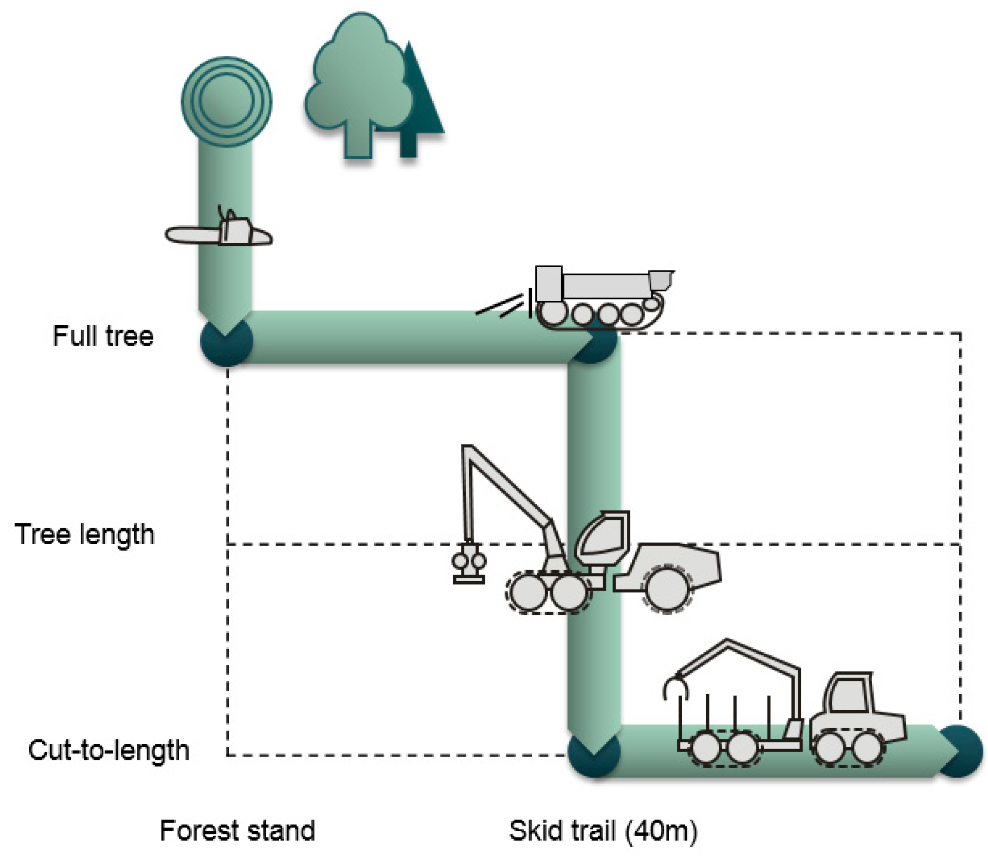 Forests 09 00591 g002