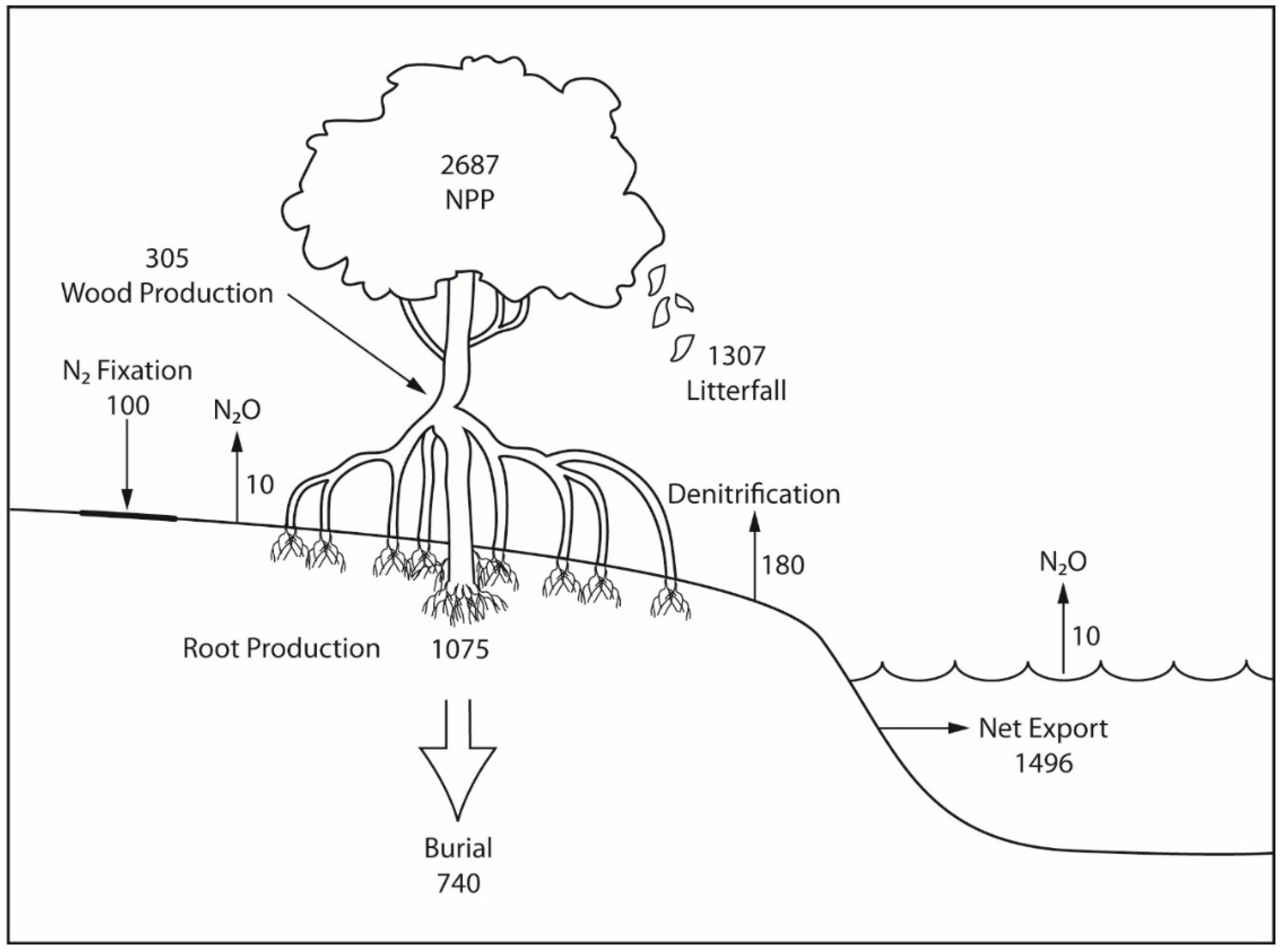 Forests | Free Full-Text | Impact of Global Change on Nutrient Dynamics in  Mangrove Forests