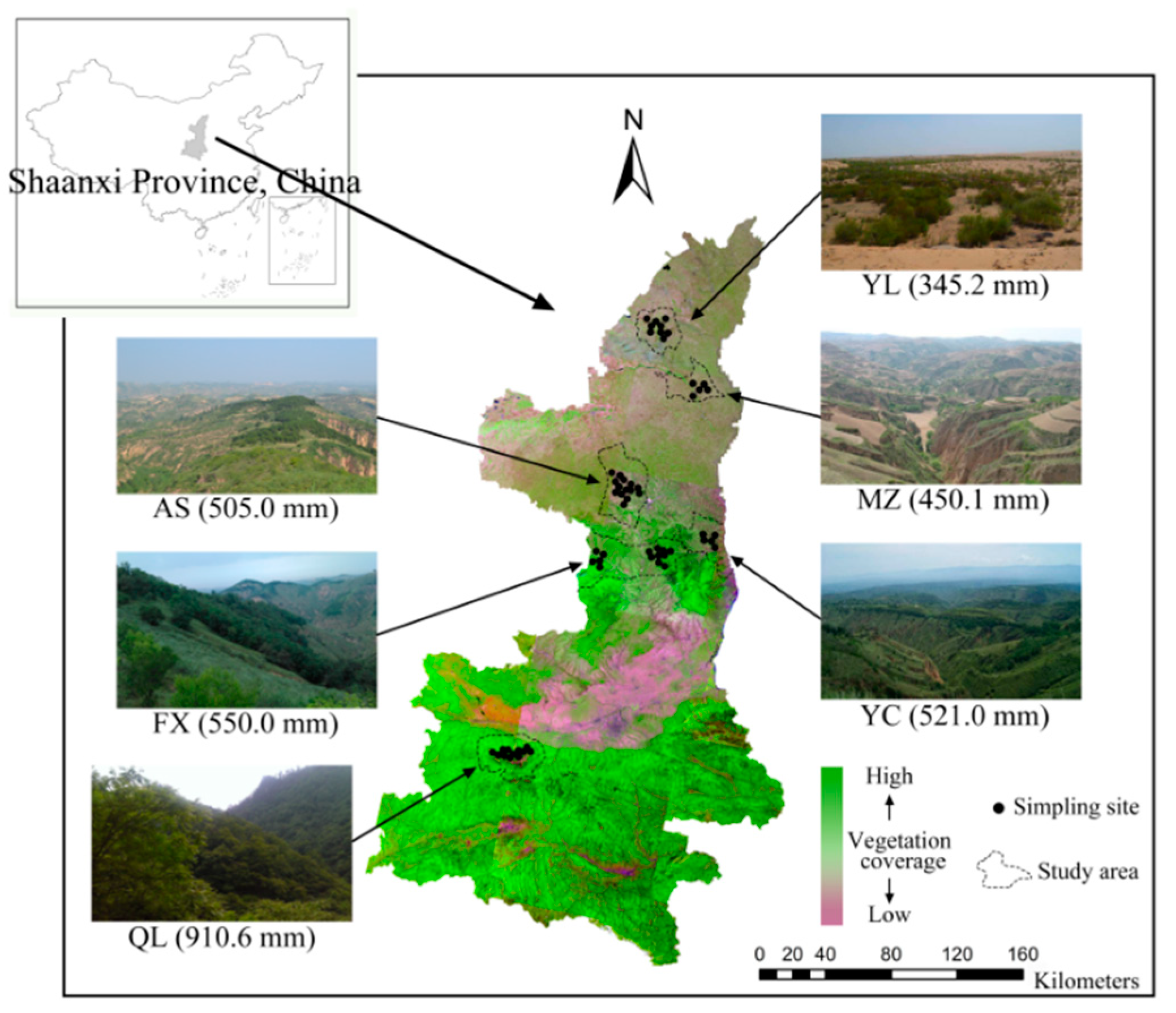 Forests 09 00598 g001