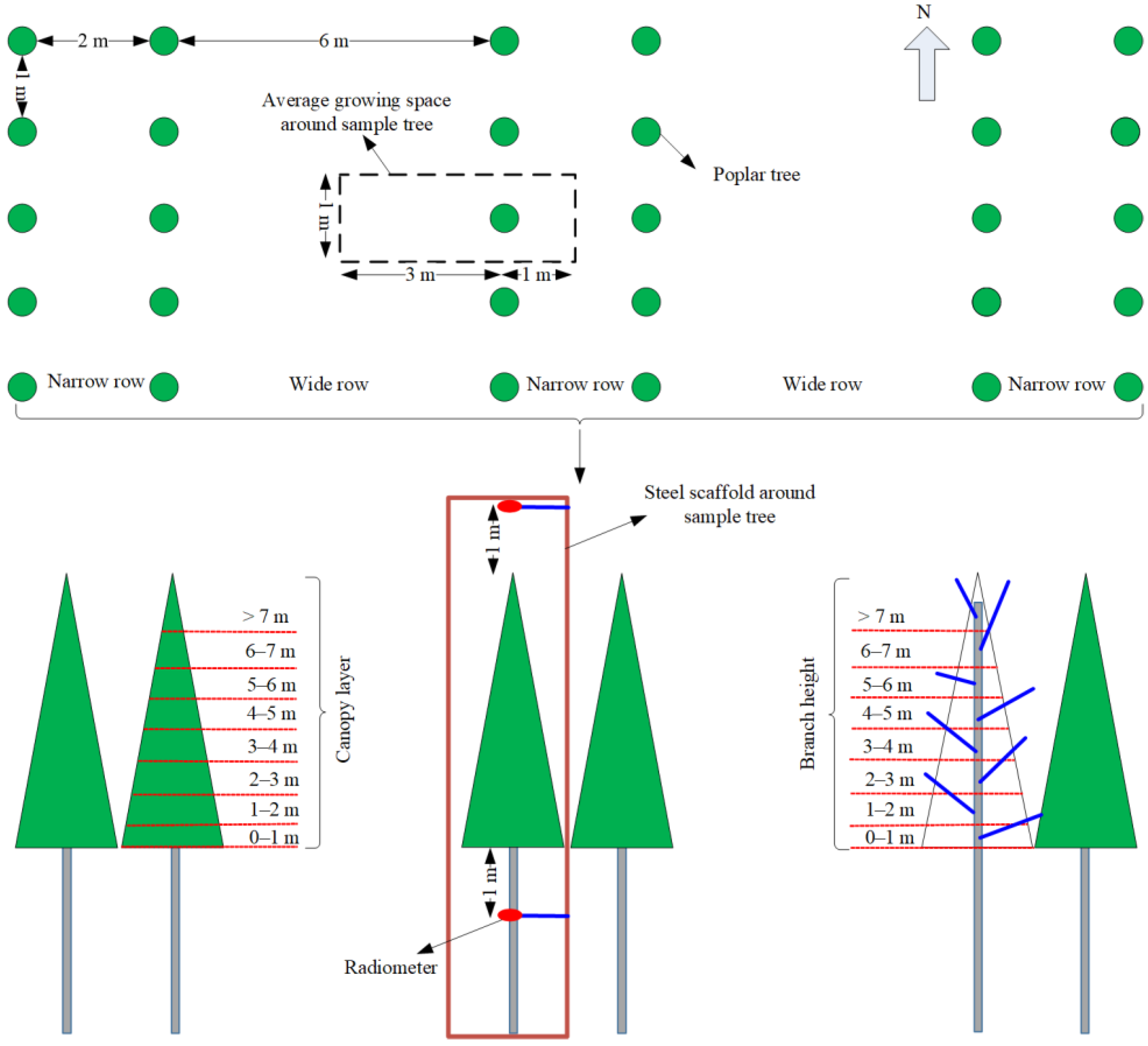 Forests 09 00603 g001 Forests 09 00603 g001