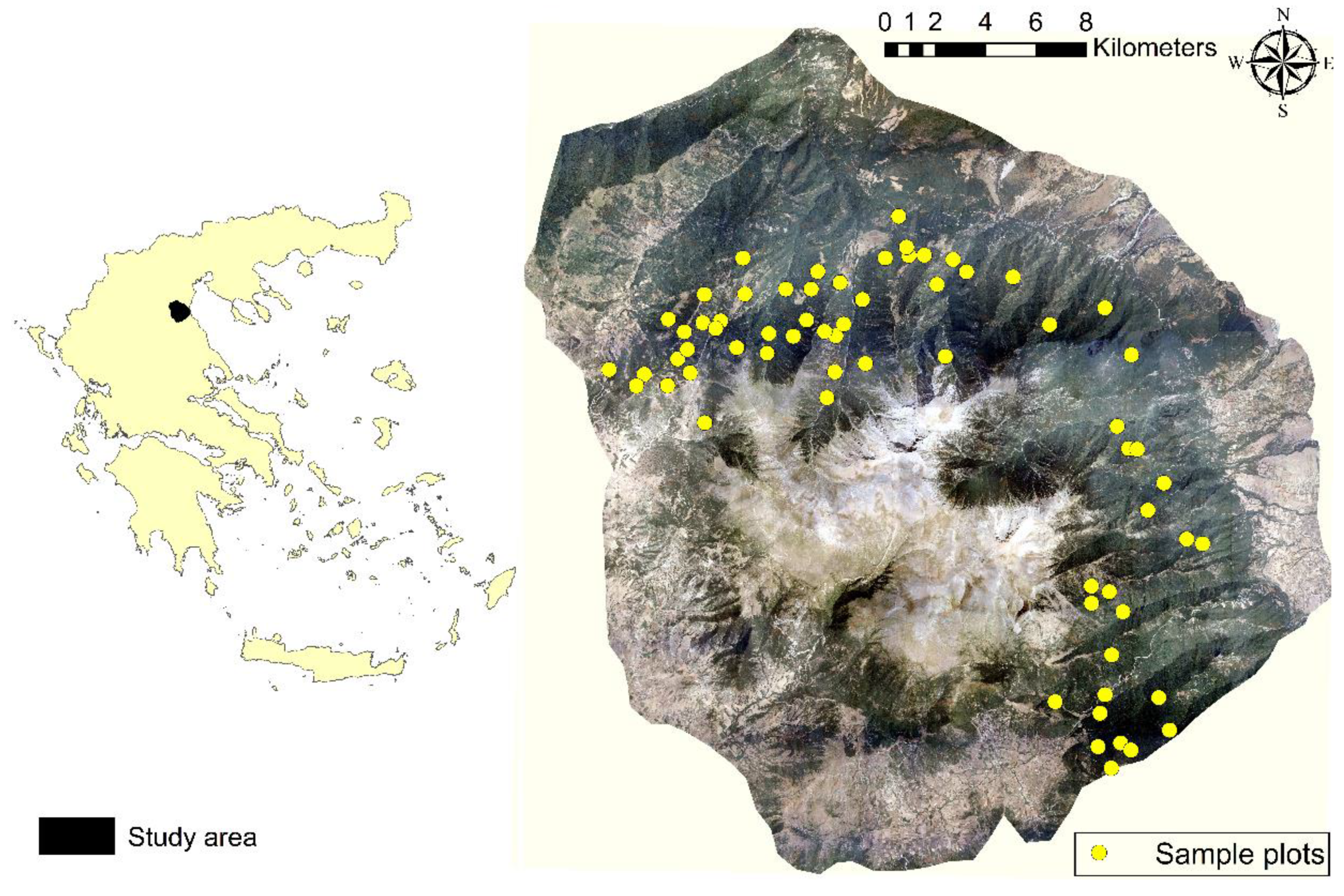 Forests 09 00610 g001