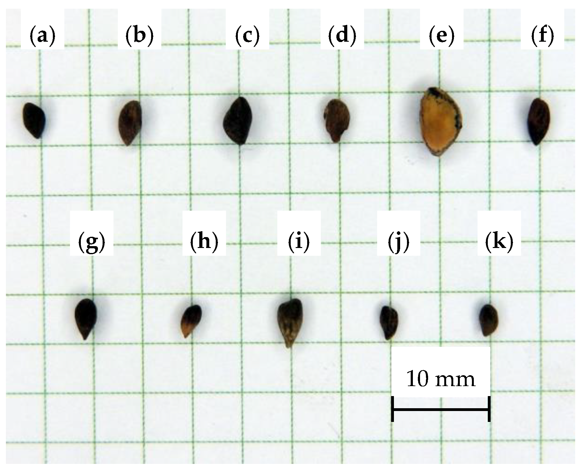 Forests Free FullText Physical Properties of Seeds of Eleven