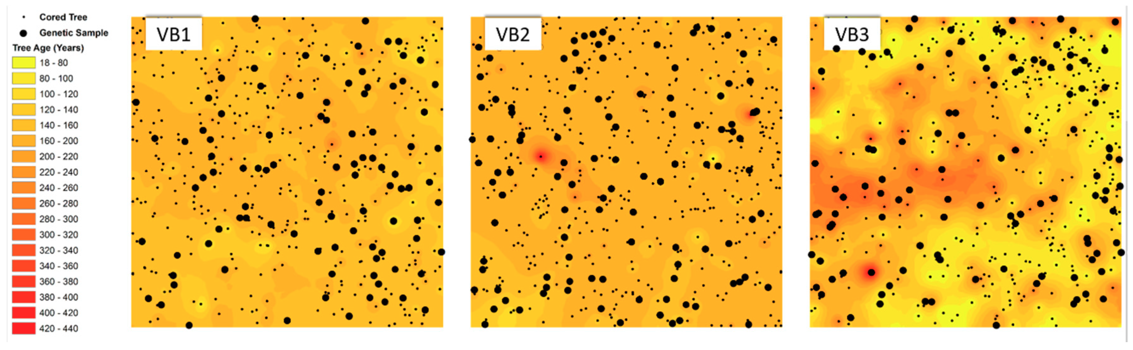 Forests 09 00622 g001