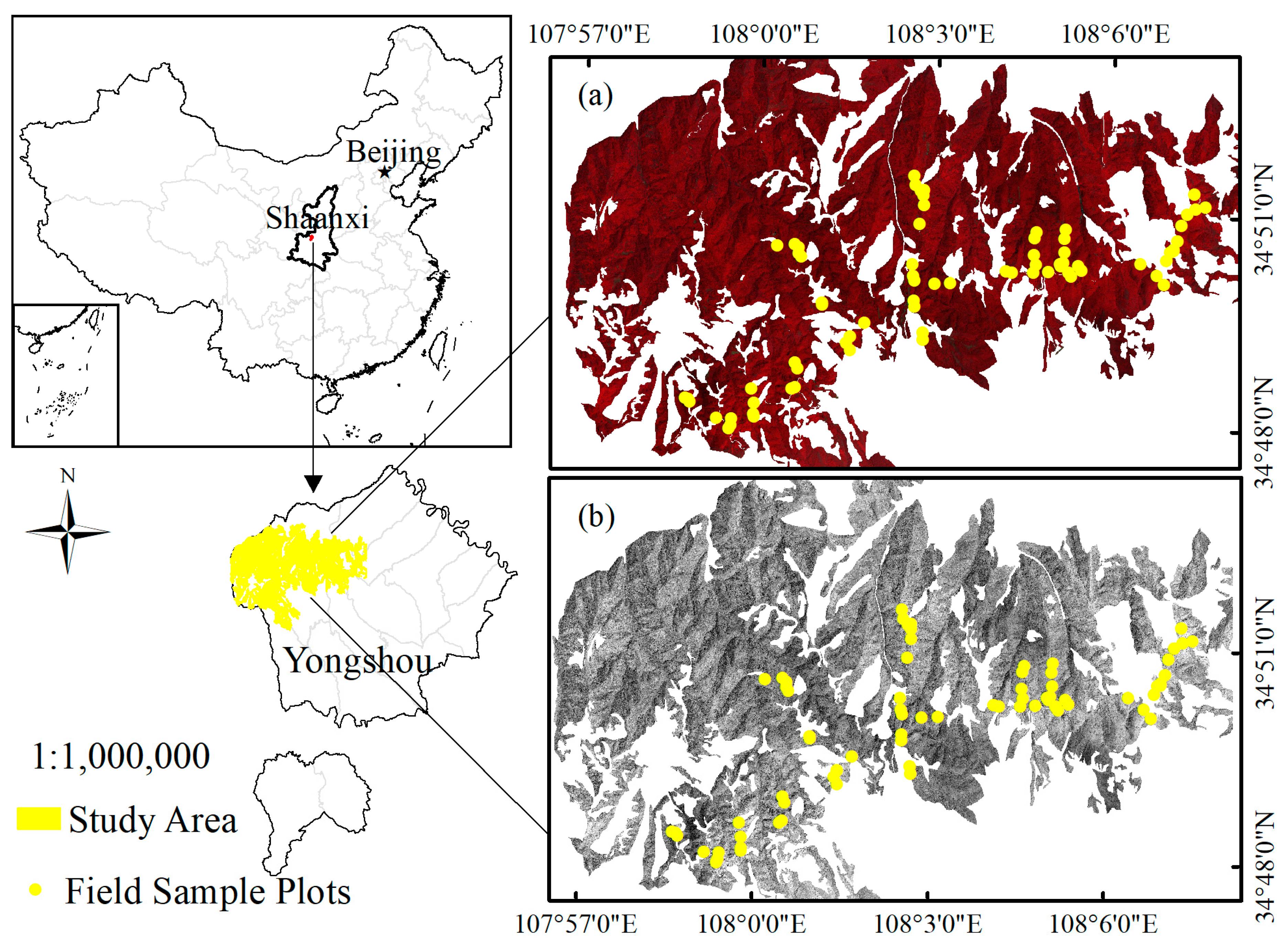 Forests 09 00623 g001 Forests 09 00623 g001