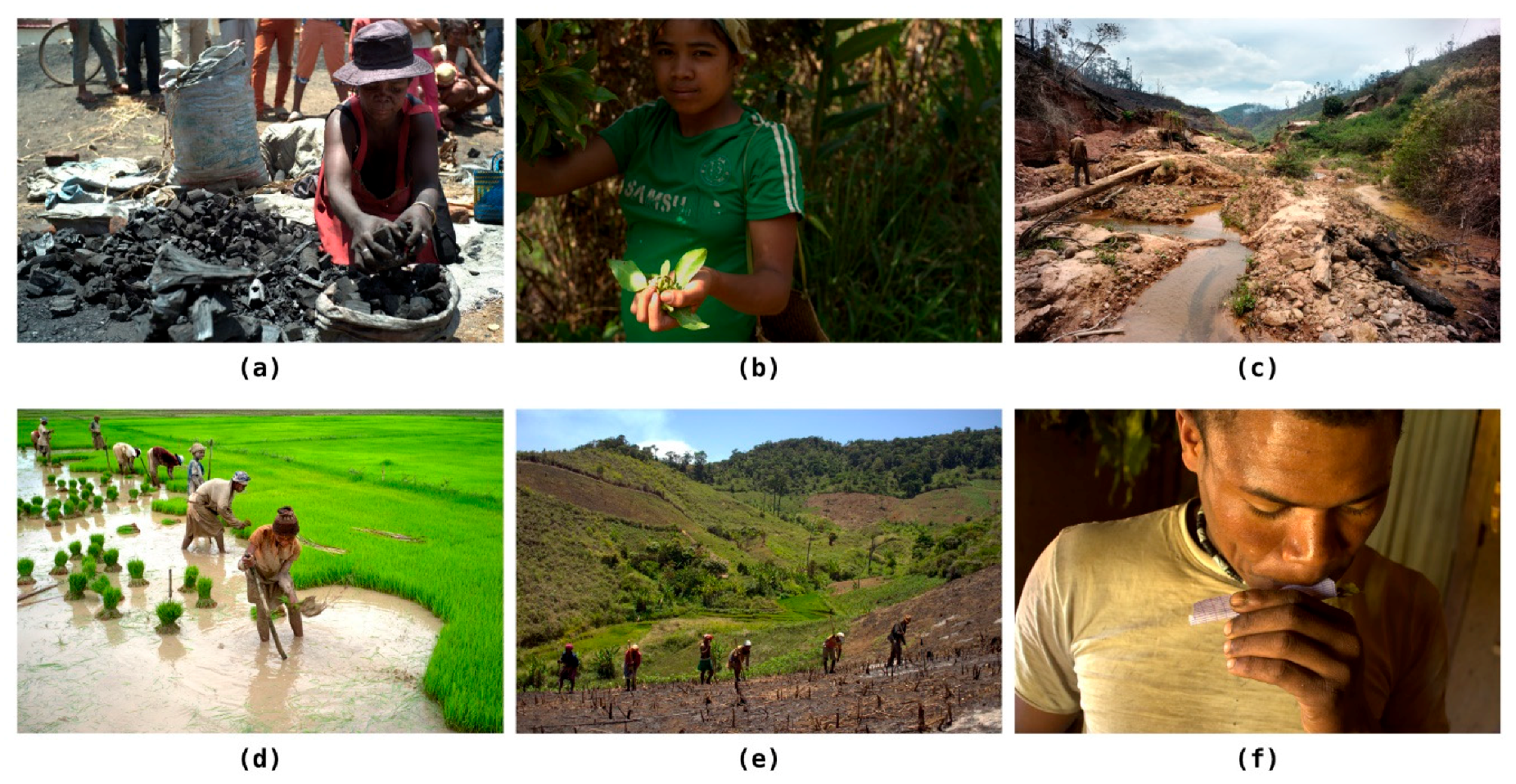 Forests Free Full Text Approaching Local Perceptions Of Forest Governance And Livelihood Challenges With Companion Modeling From A Case Study Around Zahamena National Park Madagascar