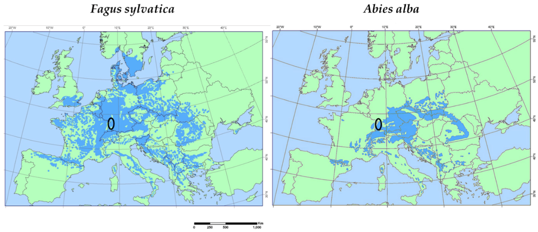 Forests 09 00627 g001