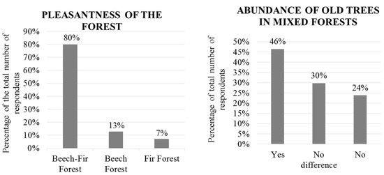 Forests Special Issue The Role Of Forests For Achieving The Open English Essay Question Examples also Academic Writing Assistance Agency Financial Accounting Assignment Help