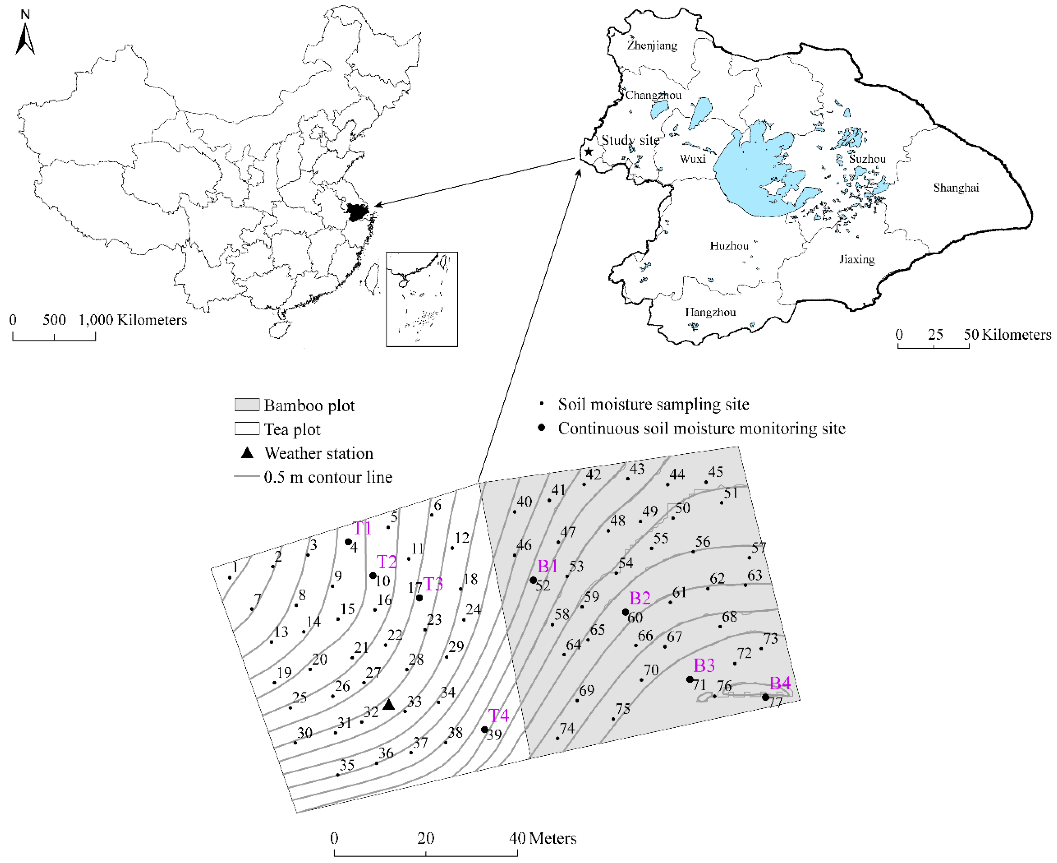 Forests 09 00629 g001