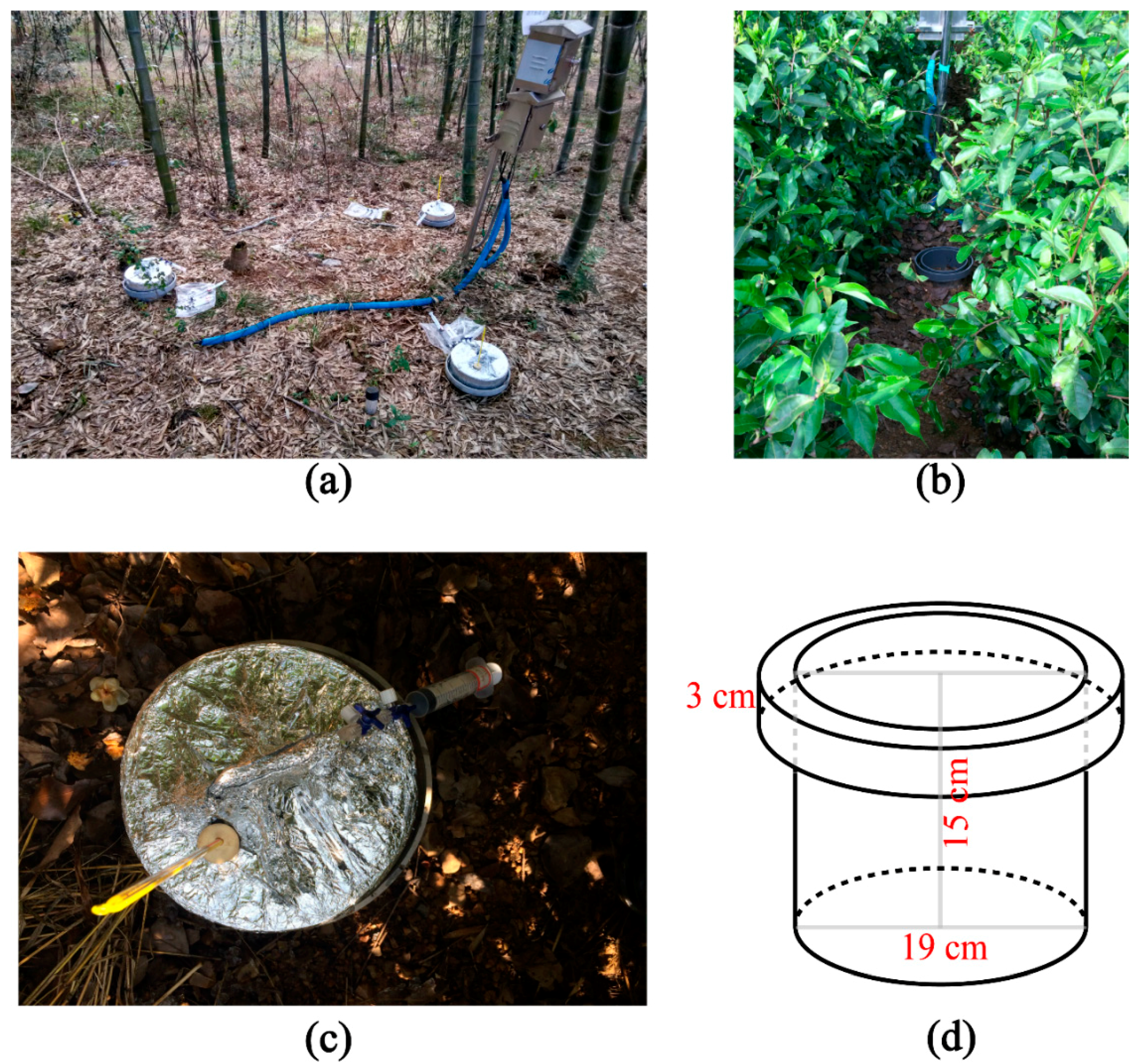 Forests 09 00629 g002