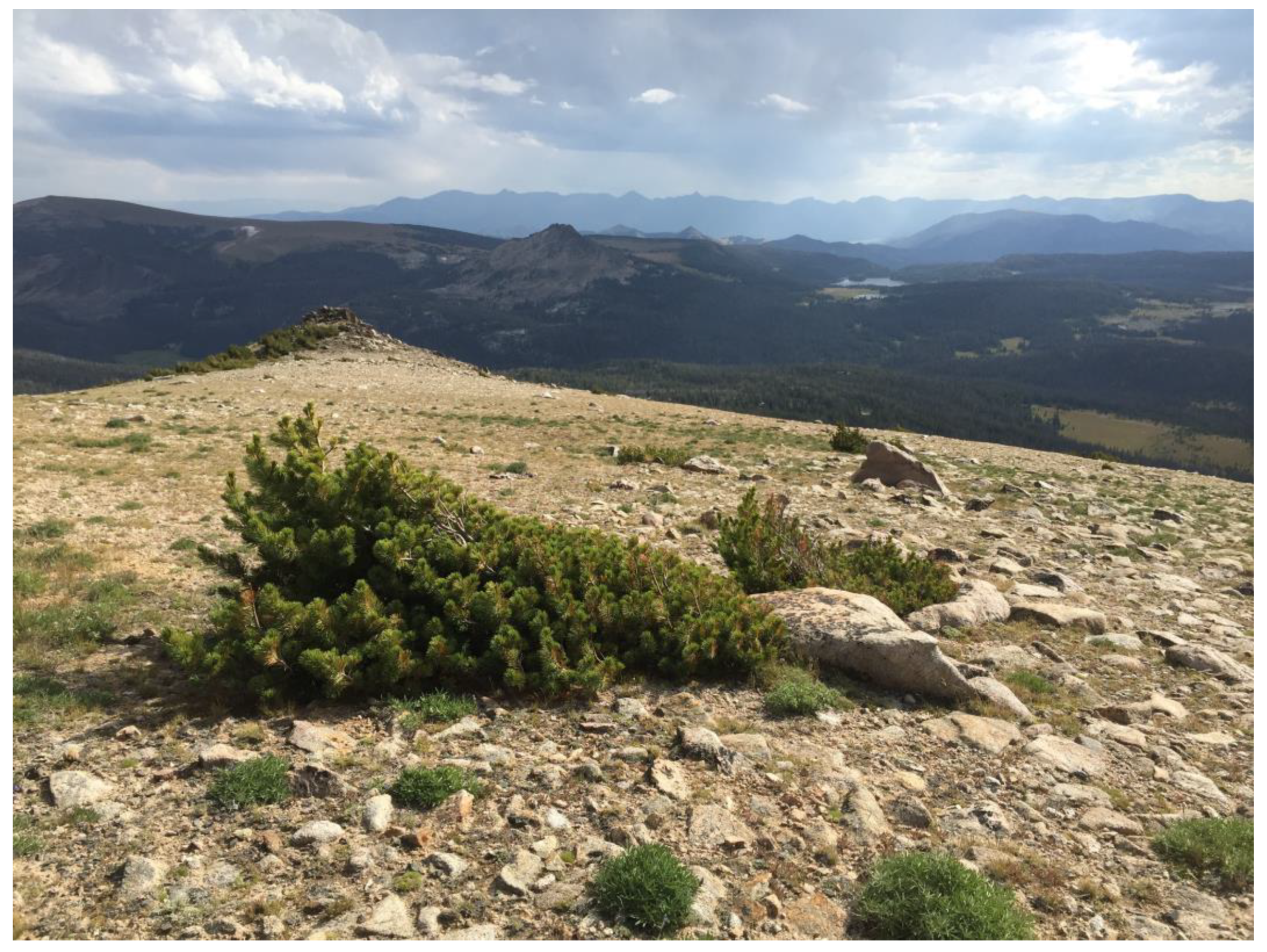 Forests 09 00635 g001 Forests 09 00635 g001