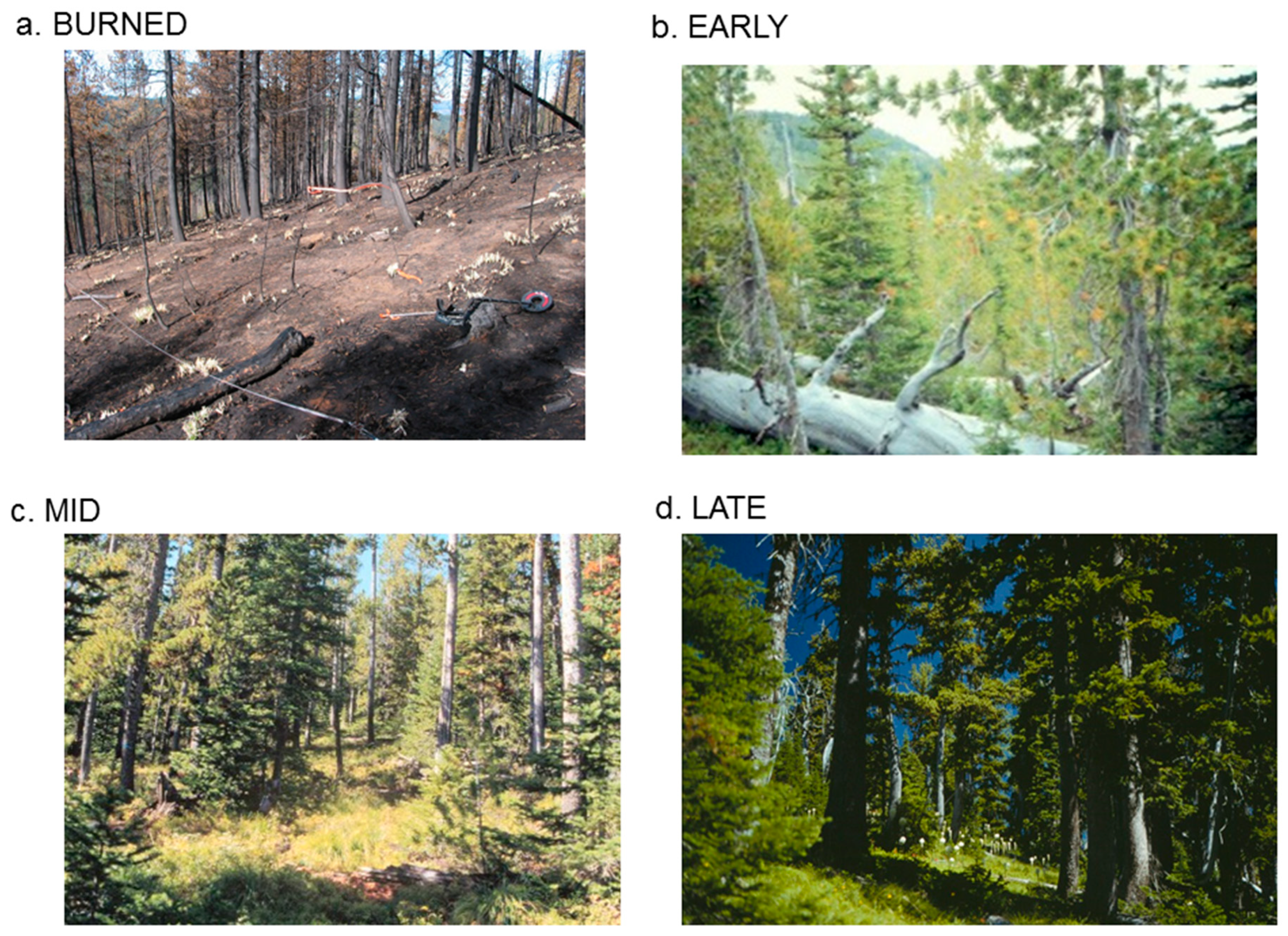 Forests 09 00648 g004 Forests 09 00648 g004