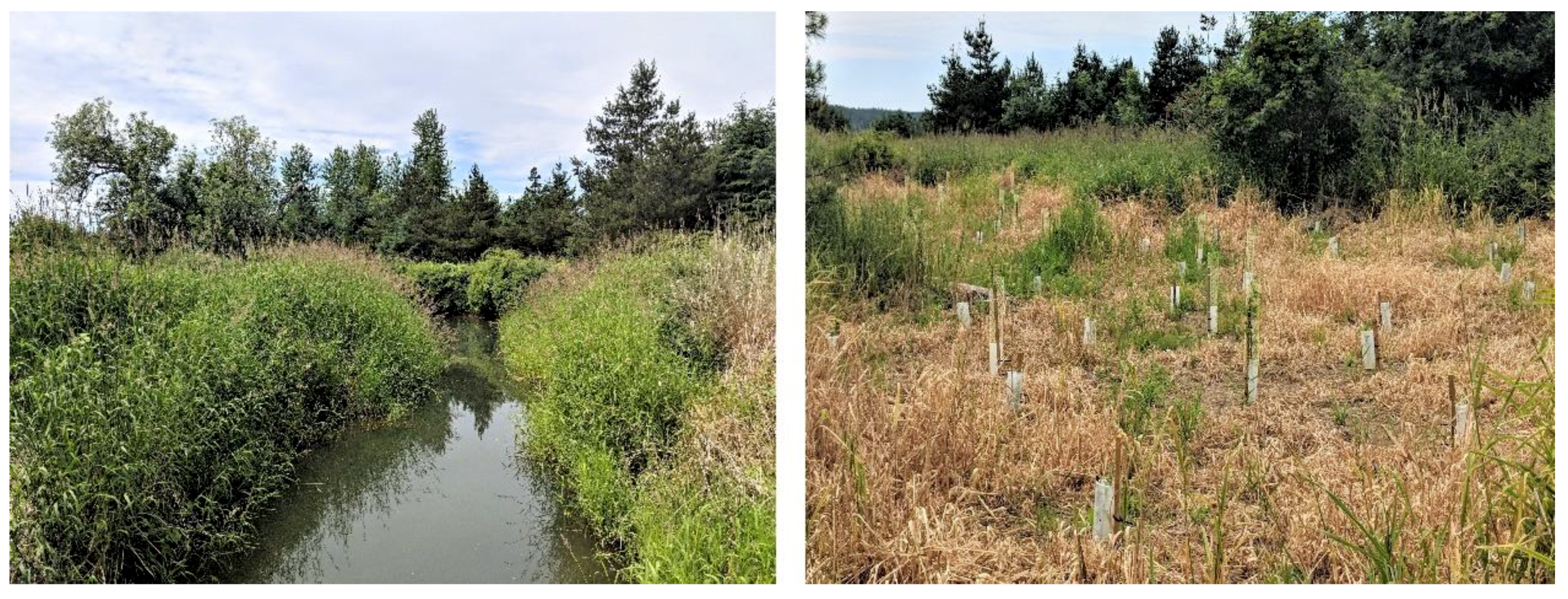 Forests 09 00655 g006 Forests 09 00655 g006