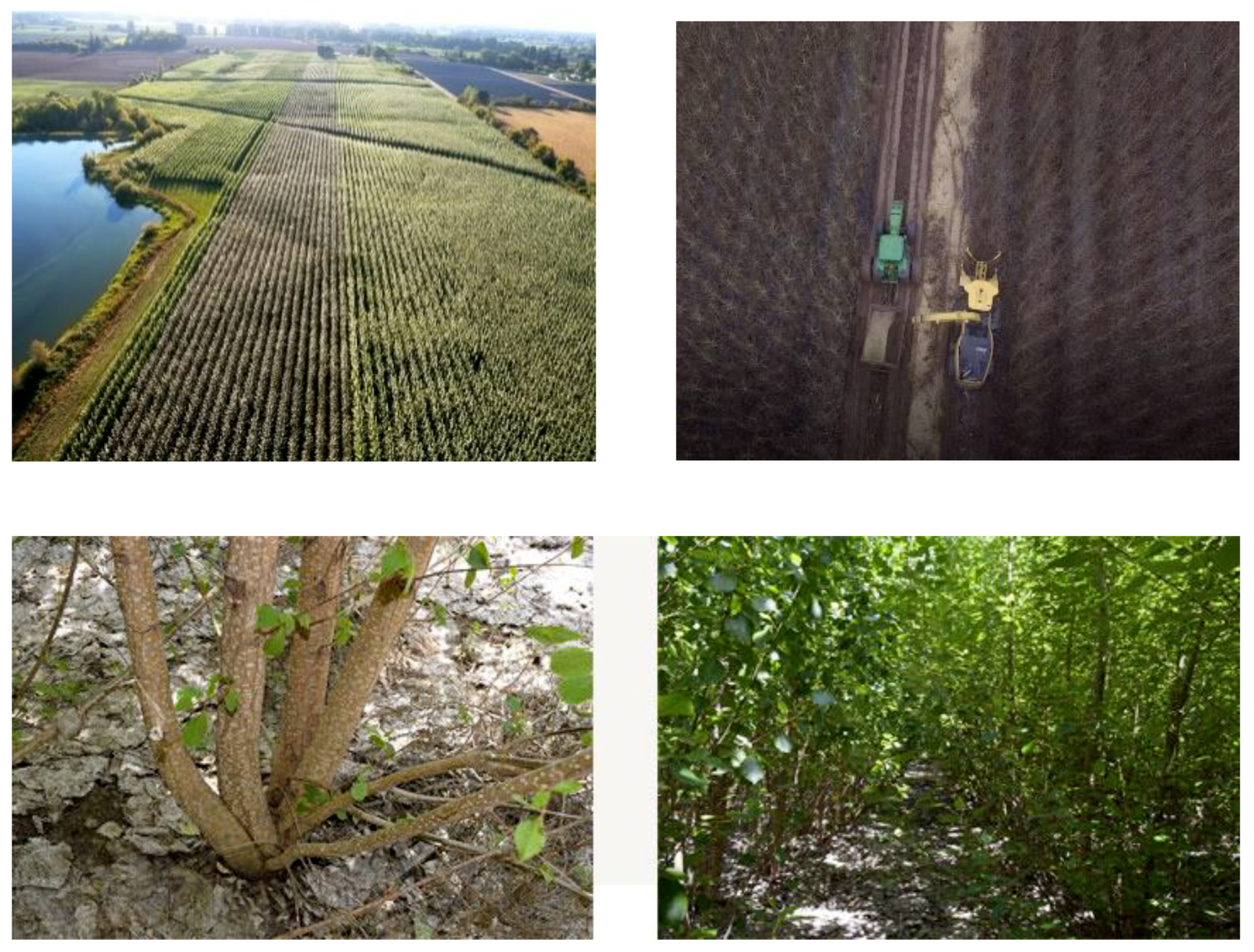 Forests 09 00655 i001 Forests 09 00655 i001