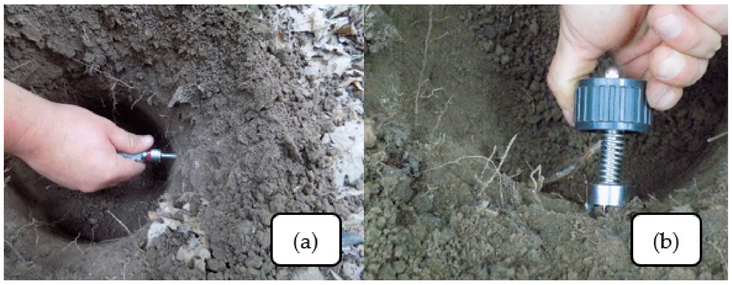 Forests 09 00665 g003 Forests 09 00665 g003