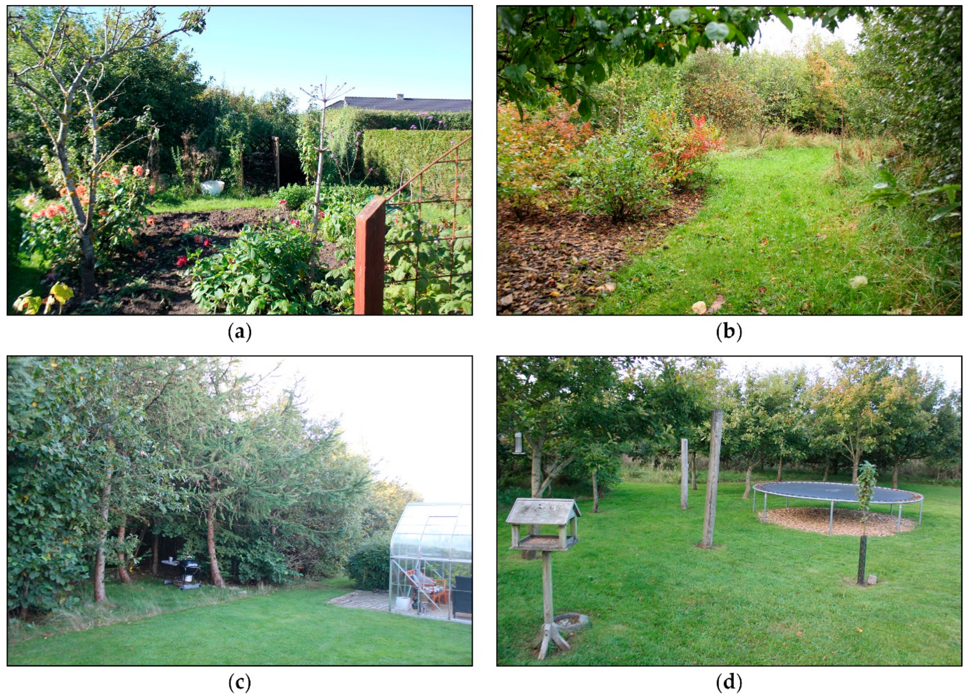 Forests 09 00670 g003