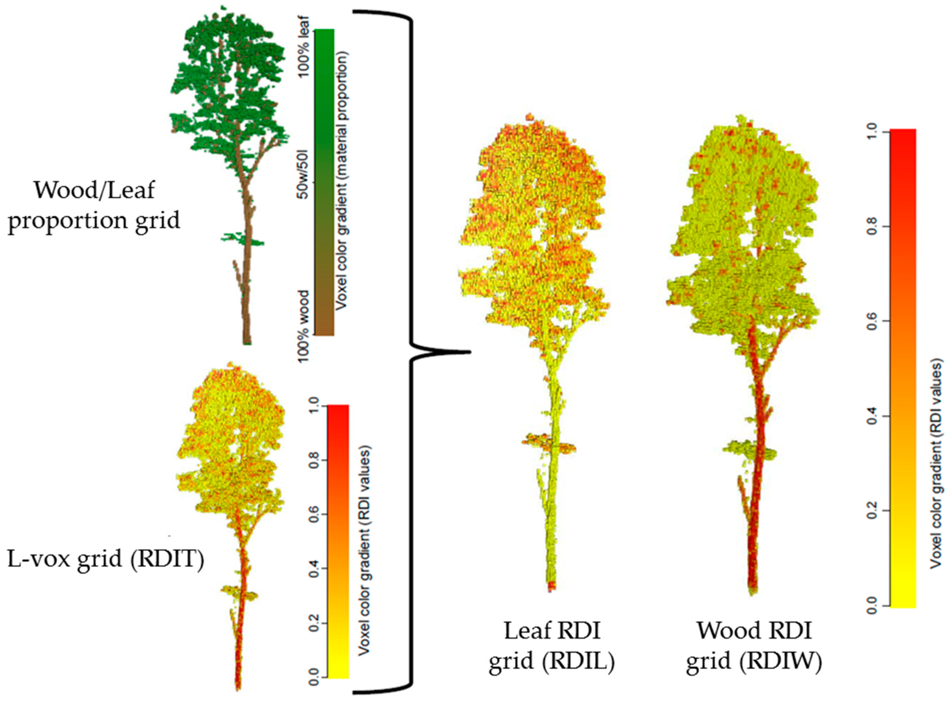 Forests 09 00673 g002